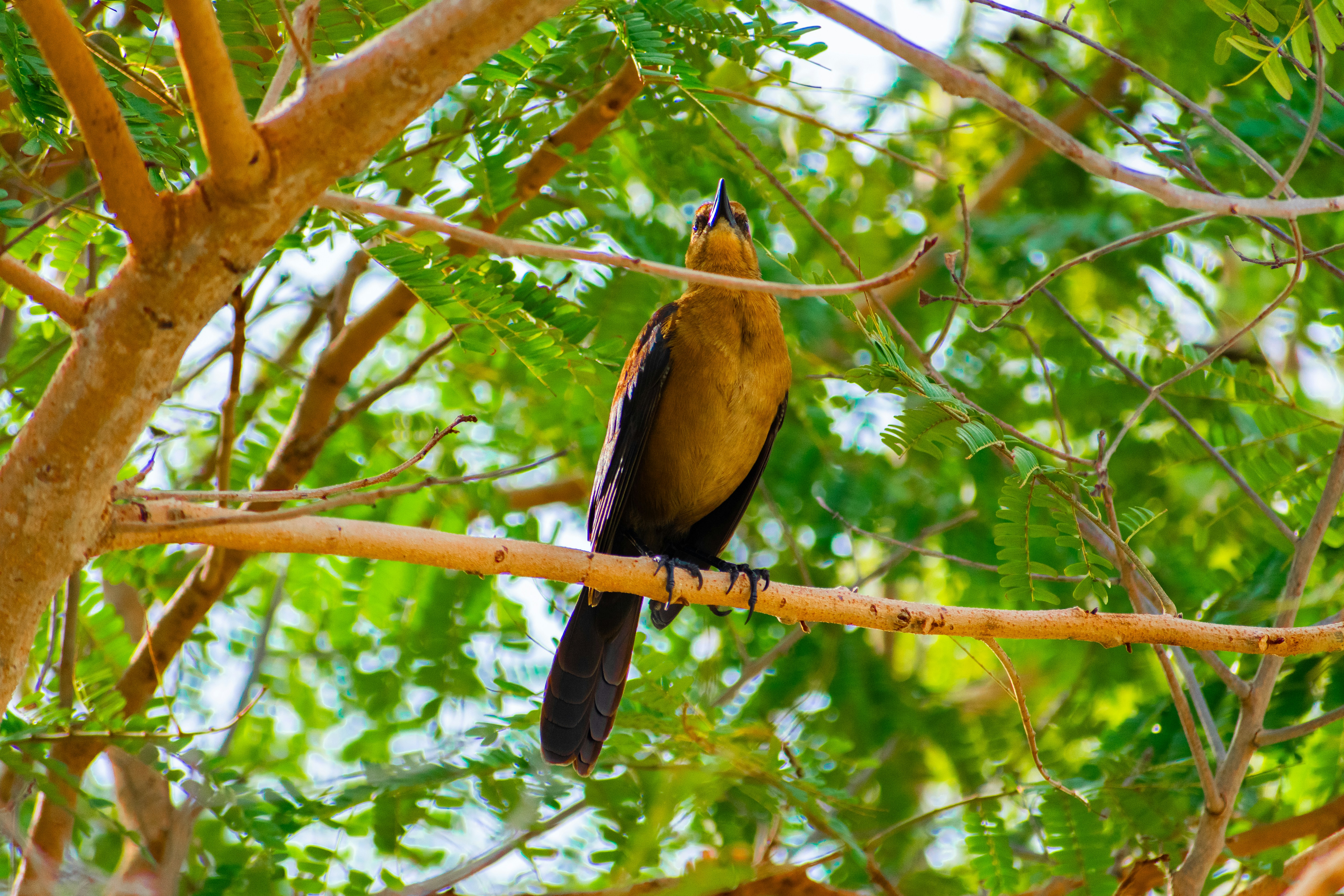 Photo by probablyrobin