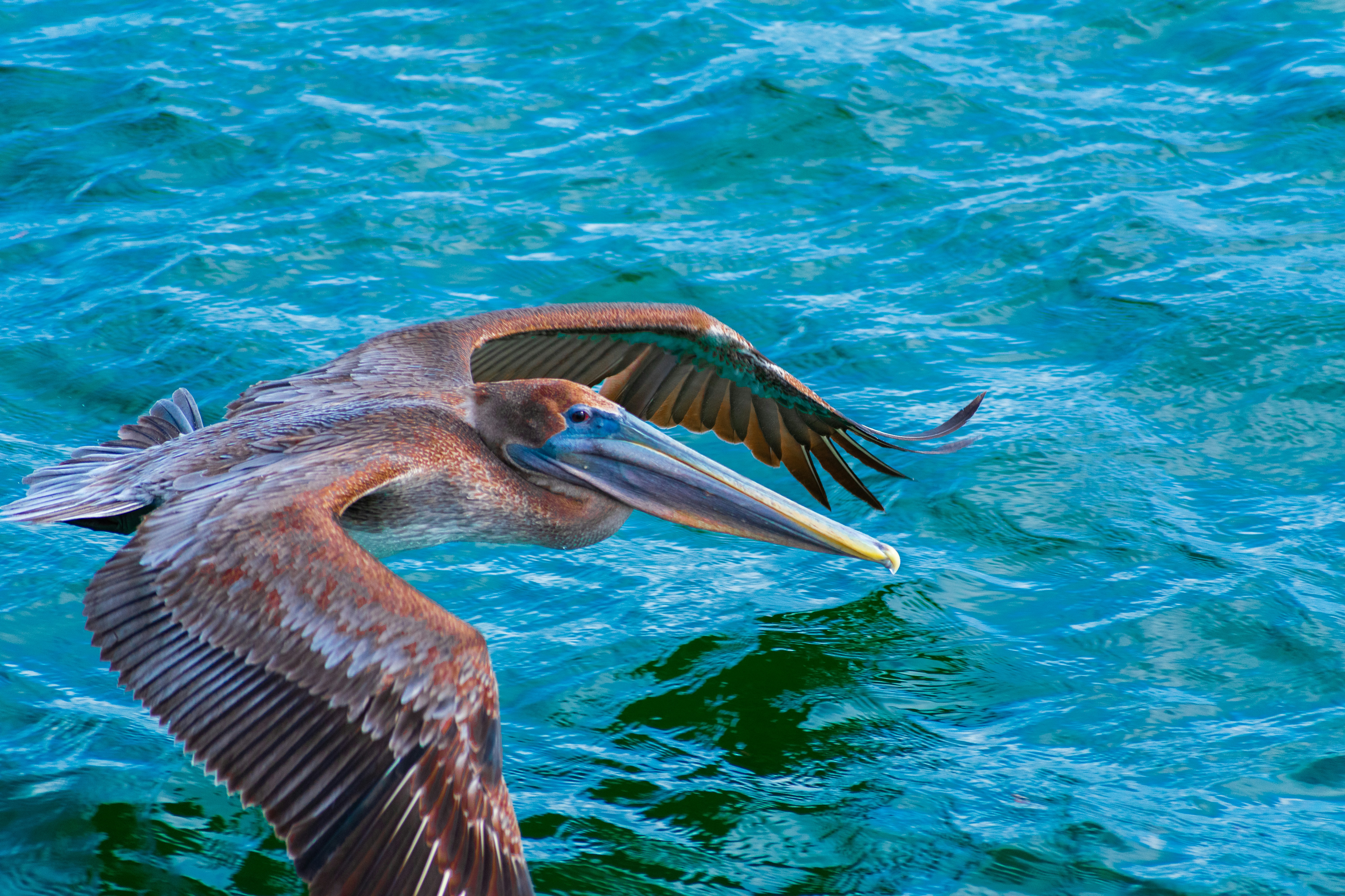 Photo by probablyrobin