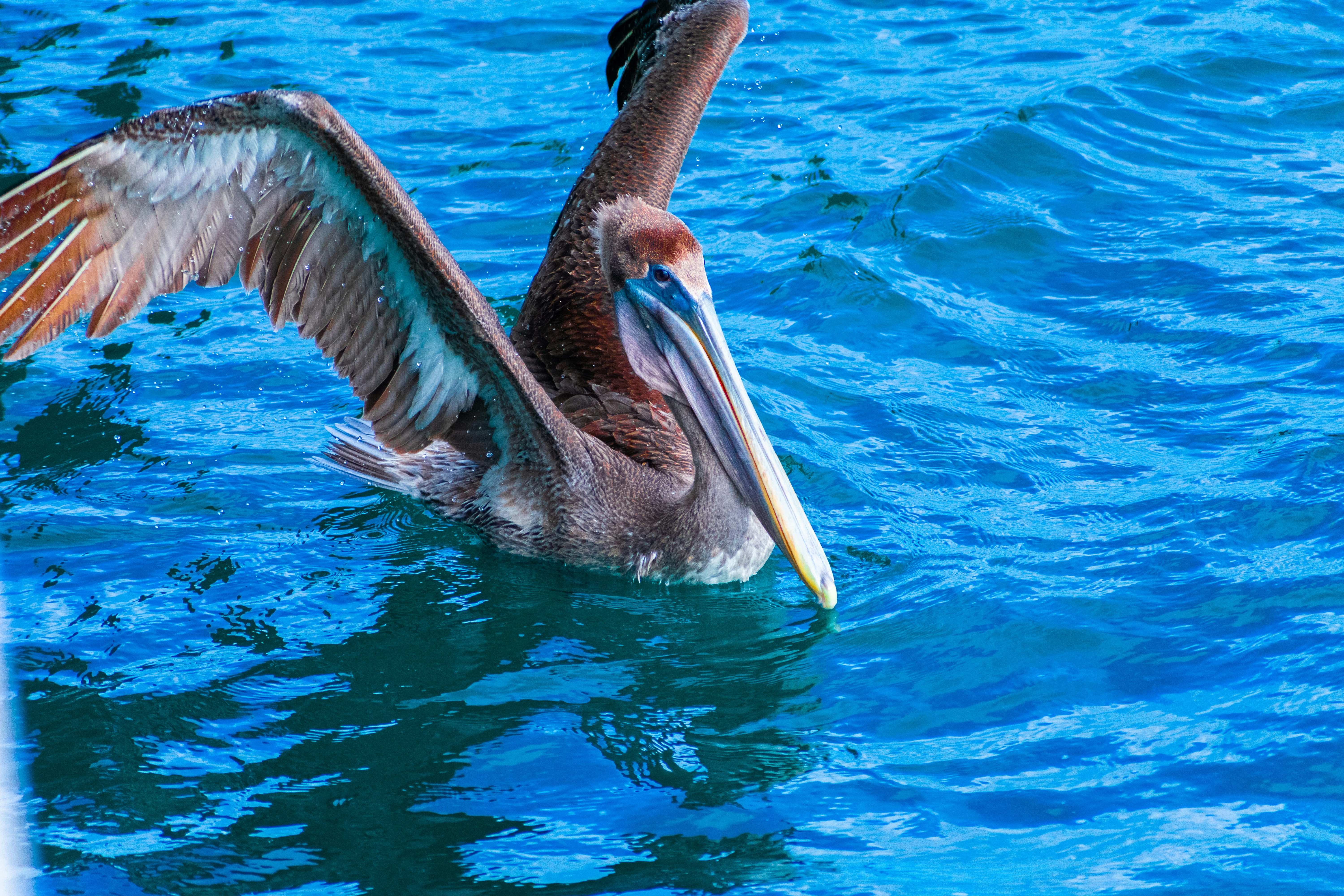 Photo by probablyrobin