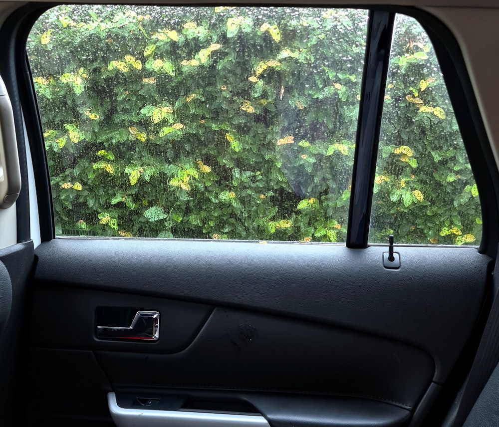 a view of a tree through a car window