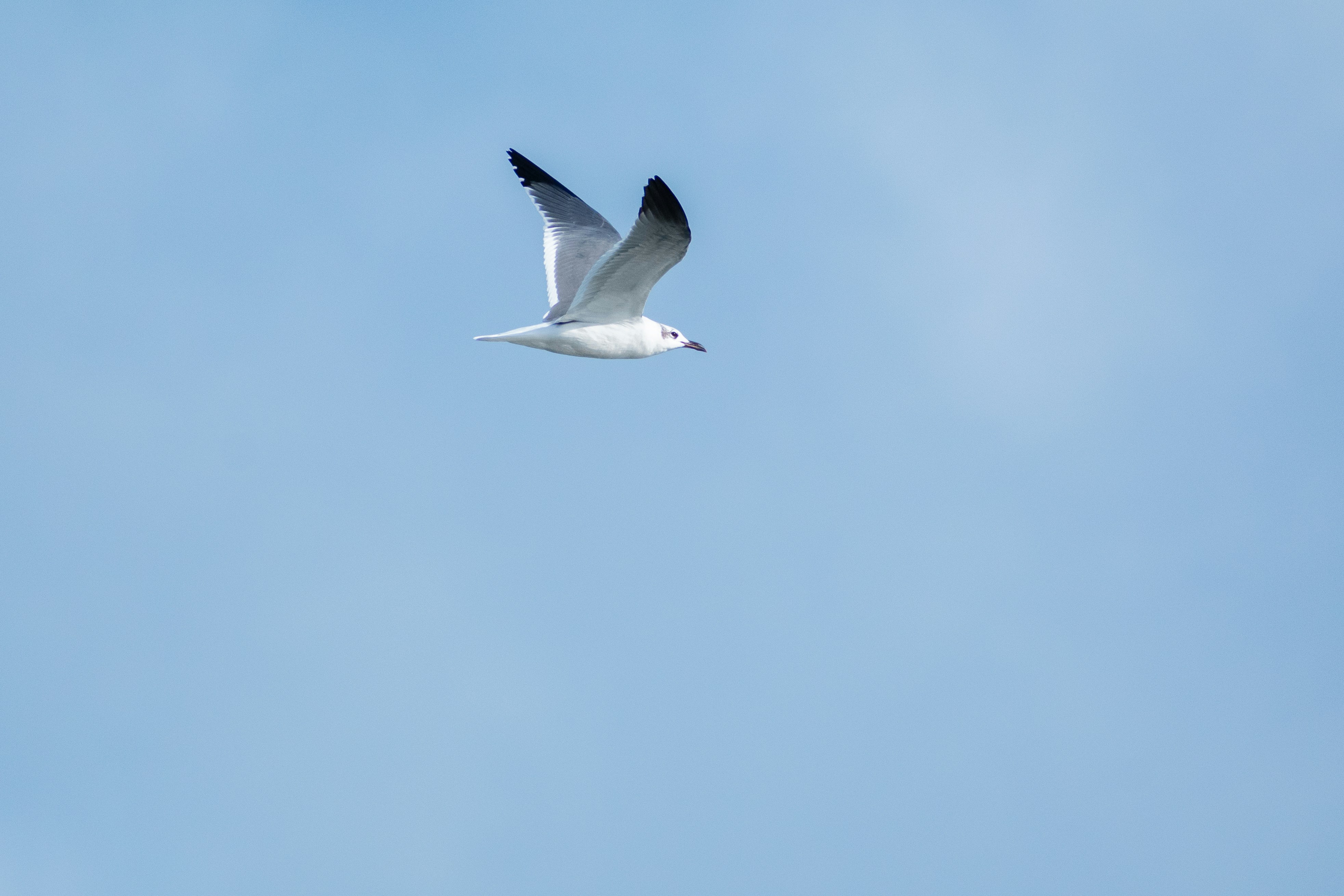 Photo by probablyrobin