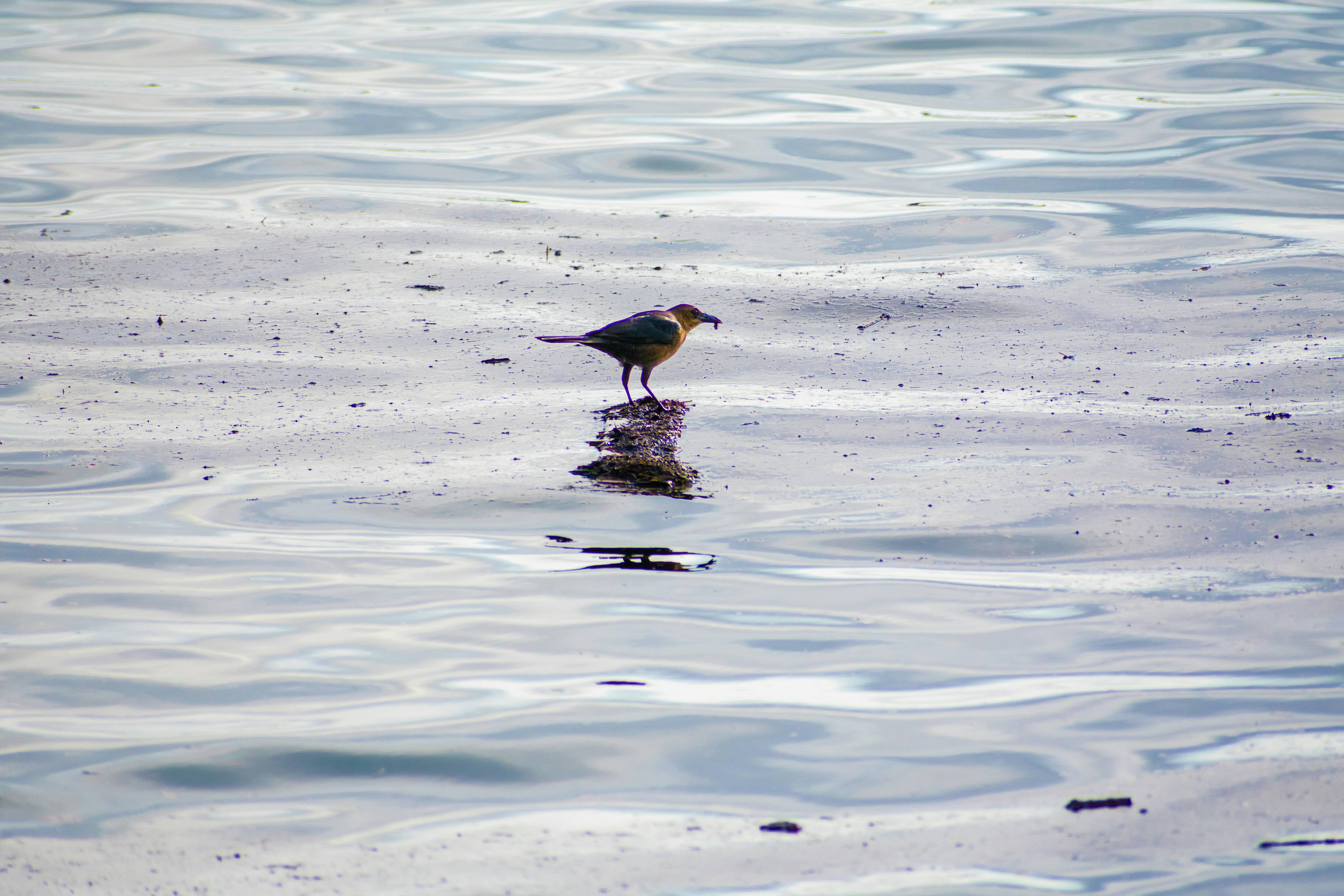 Photo by probablyrobin