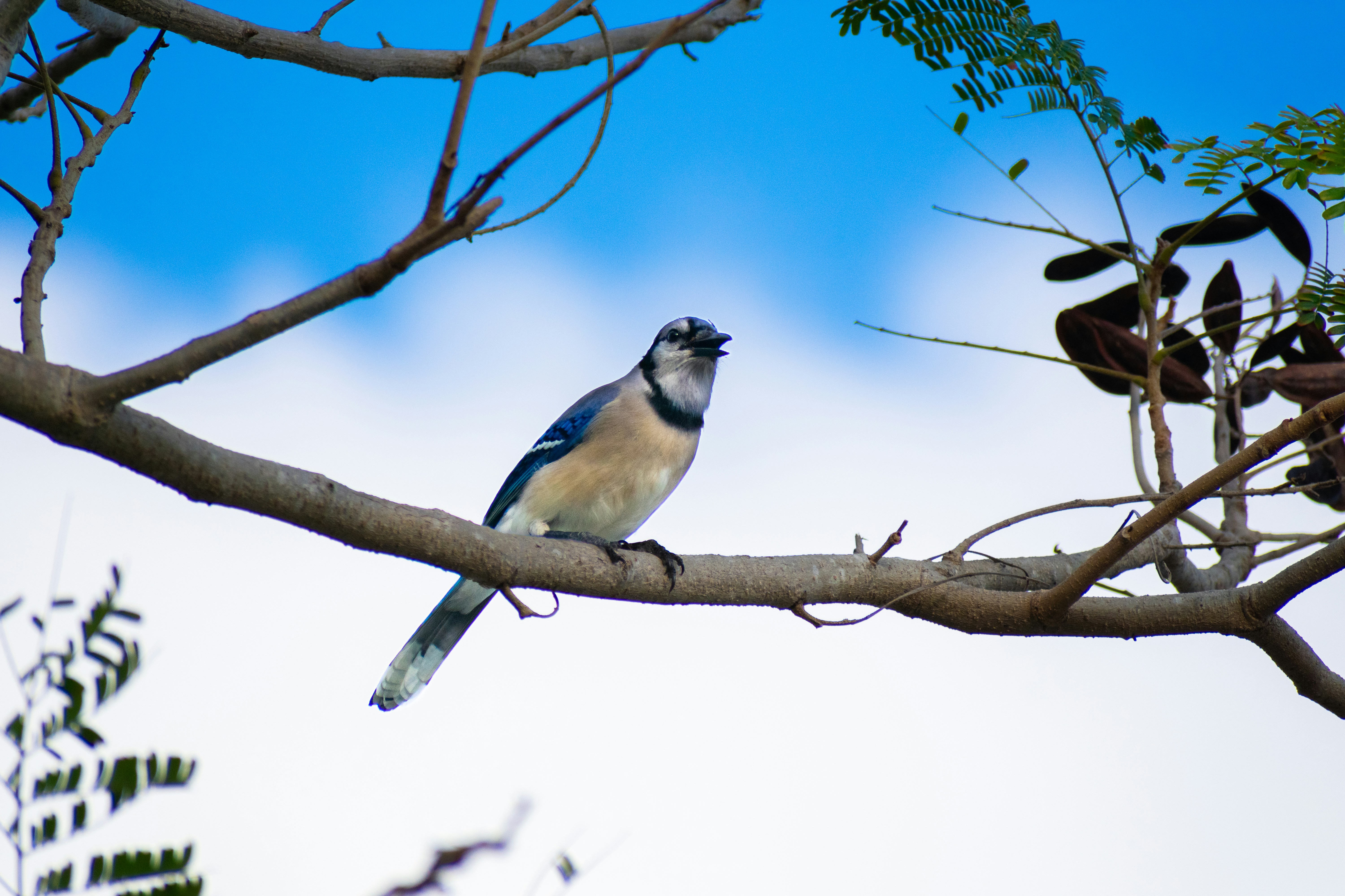 Photo by probablyrobin