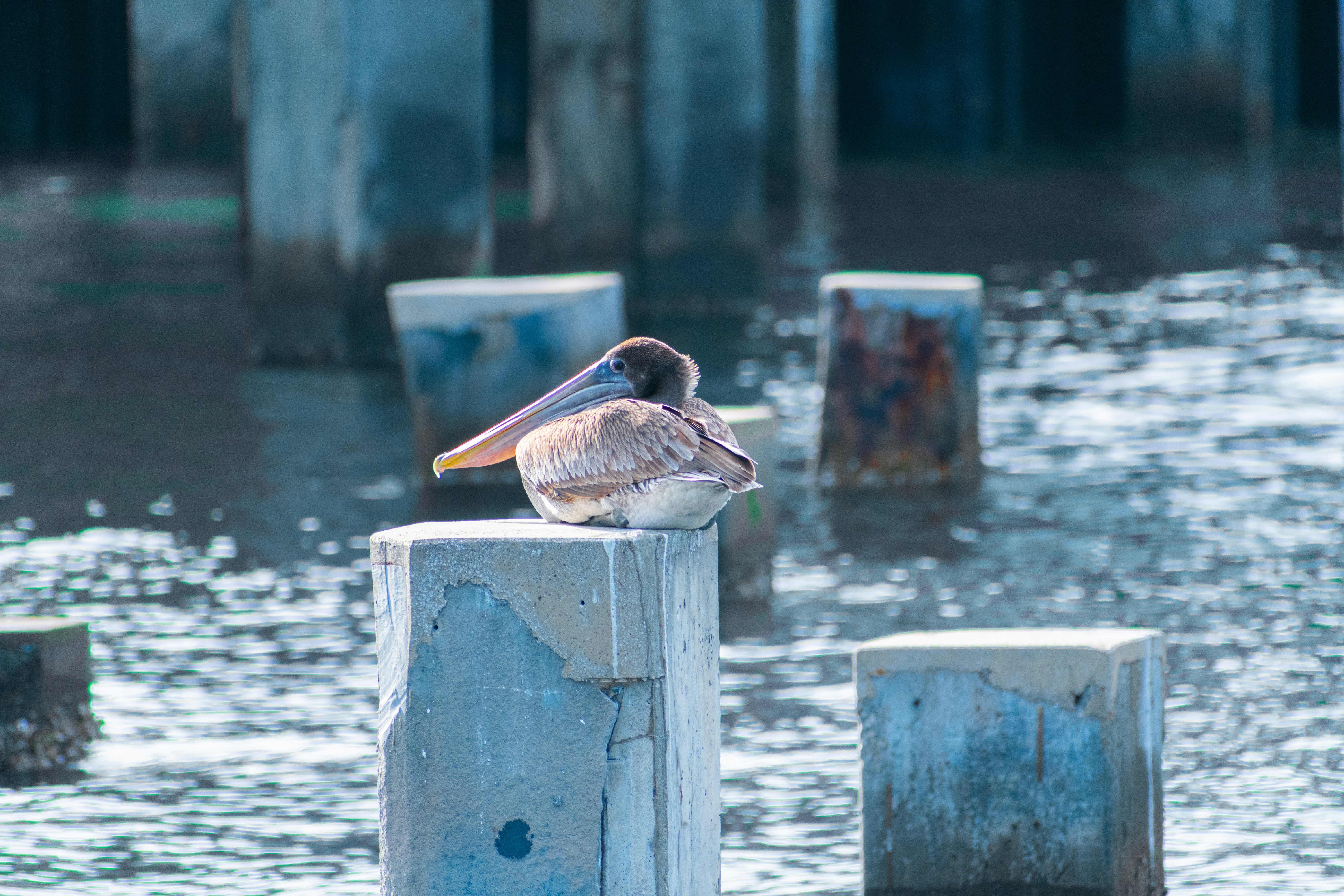 Photo by probablyrobin