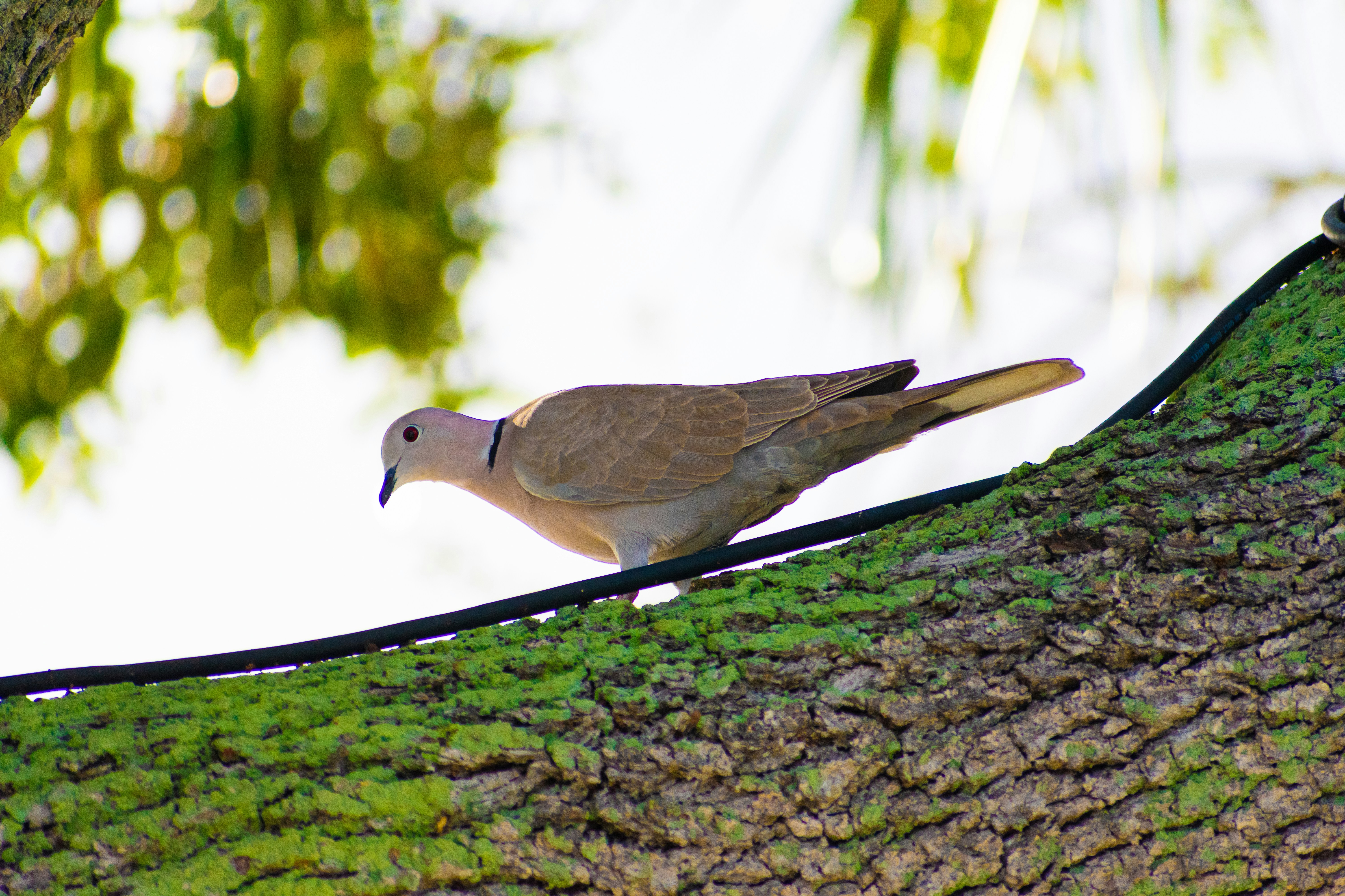 Photo by probablyrobin