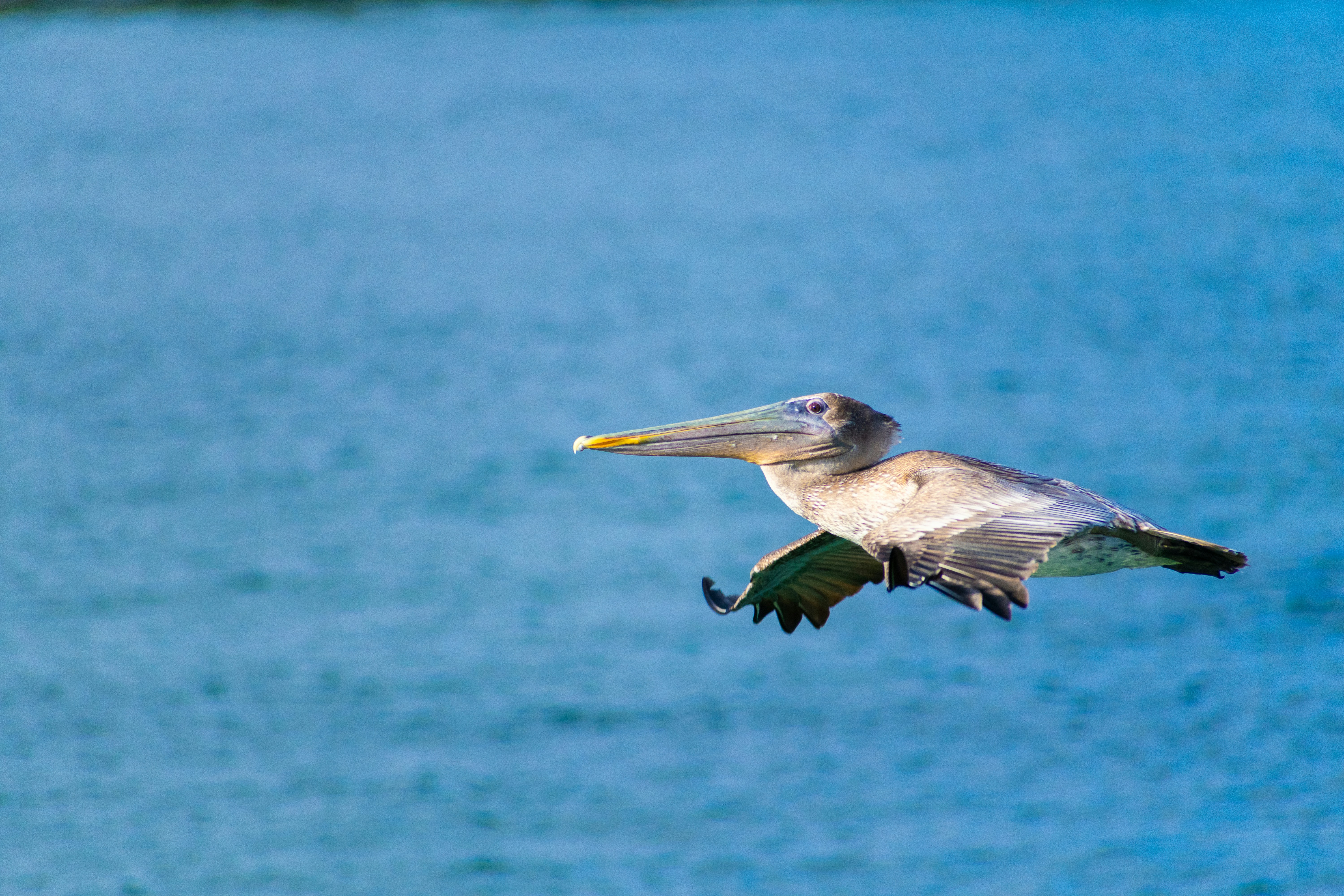 Photo by probablyrobin