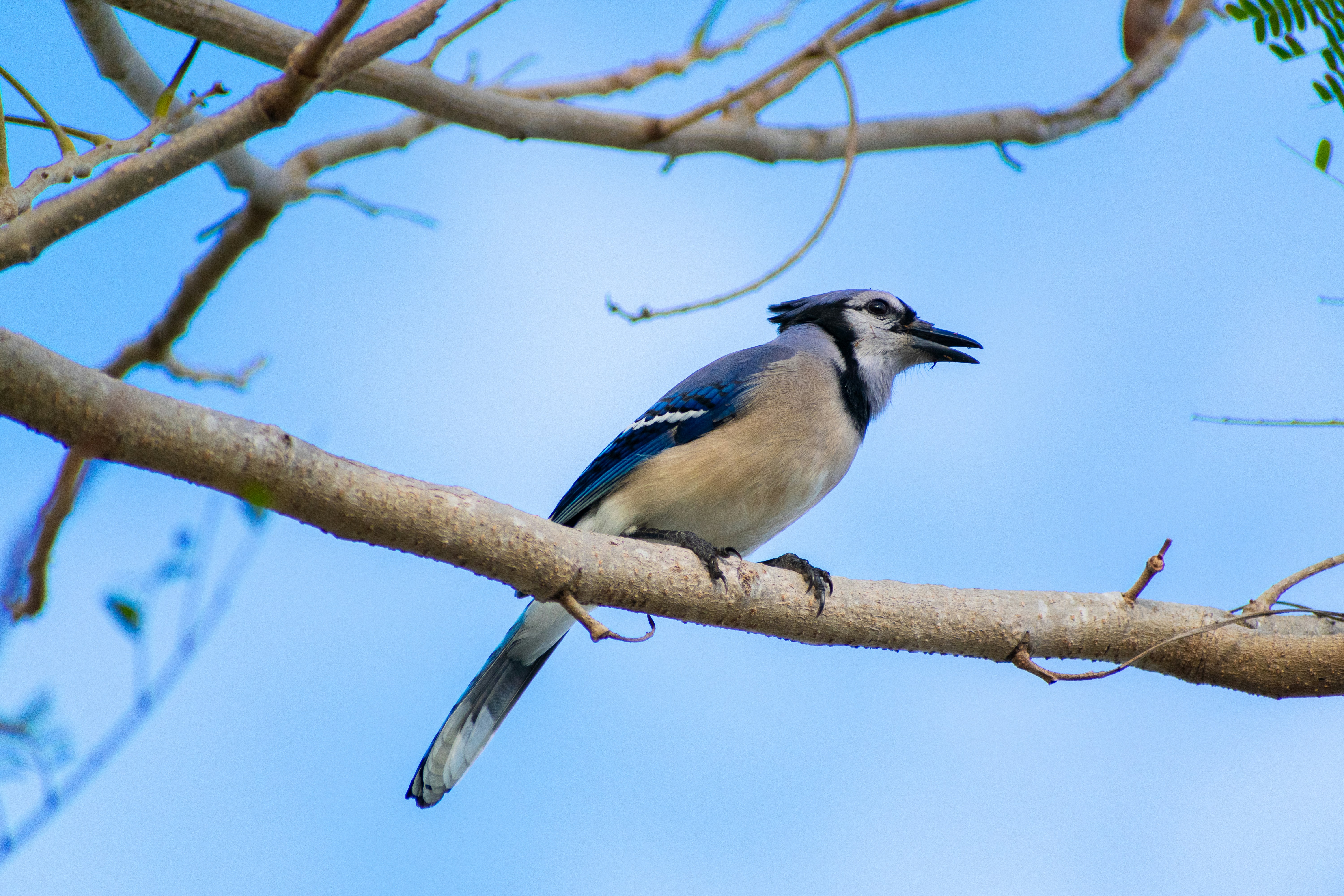 Photo by probablyrobin