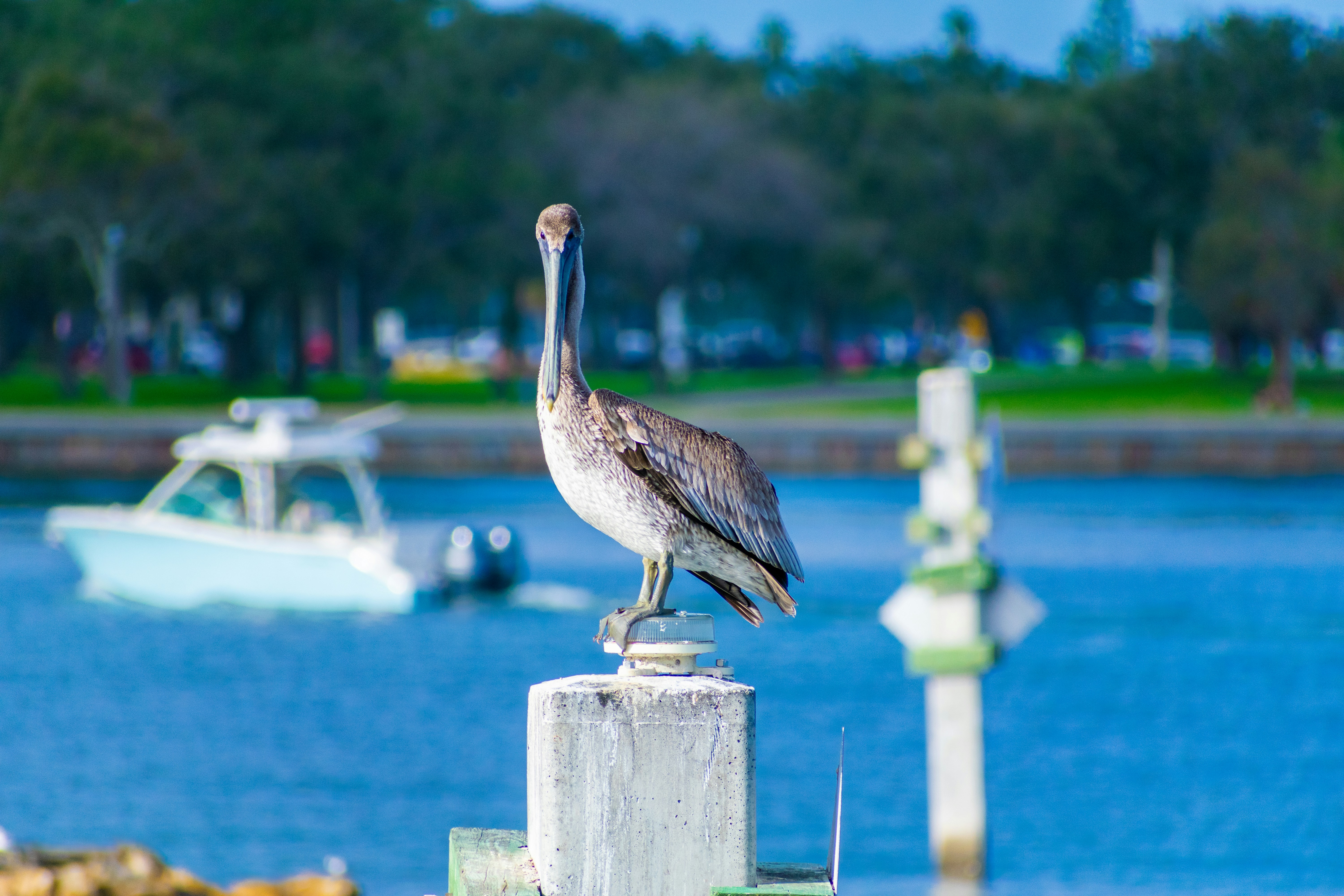 Photo by probablyrobin