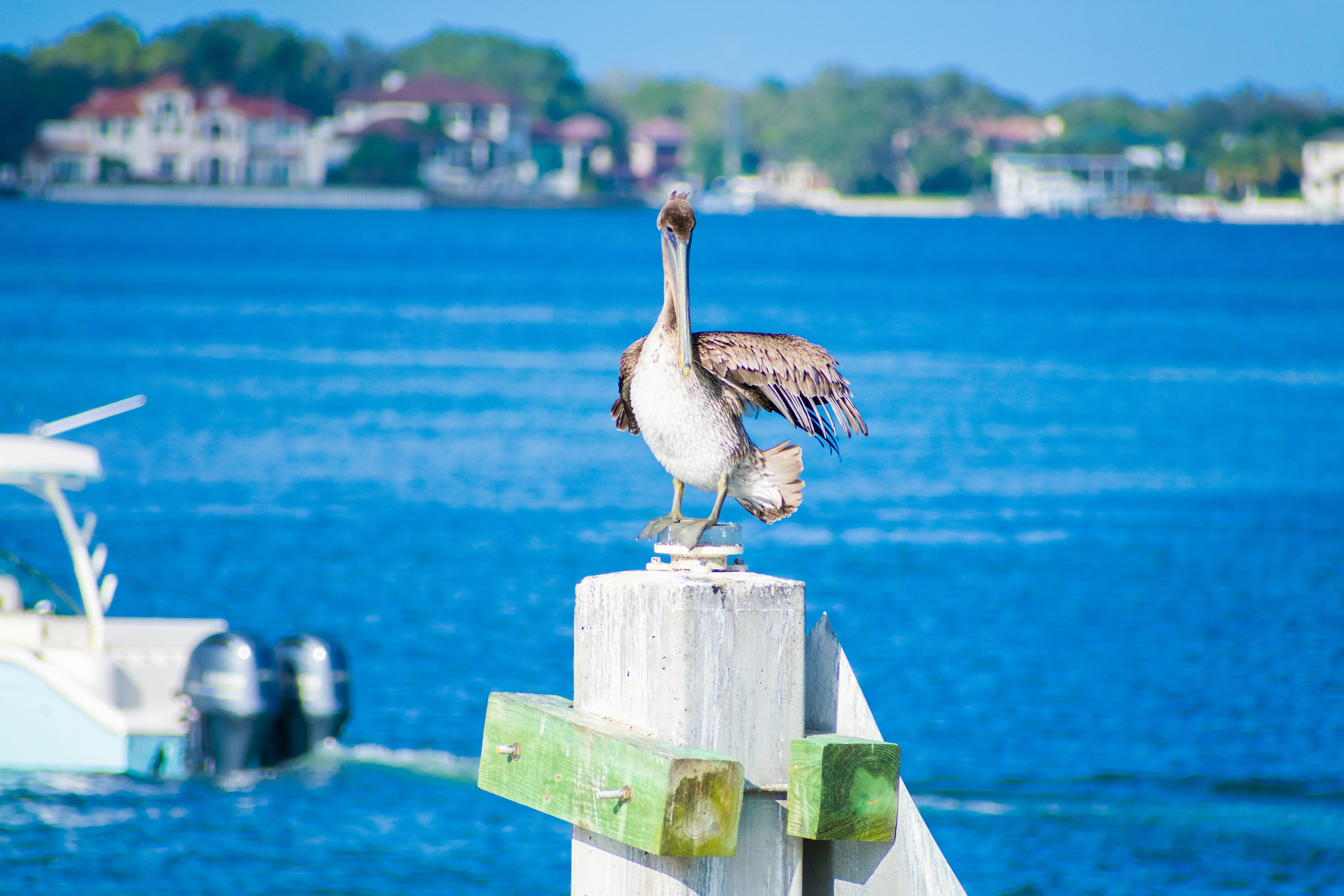 Photo by probablyrobin