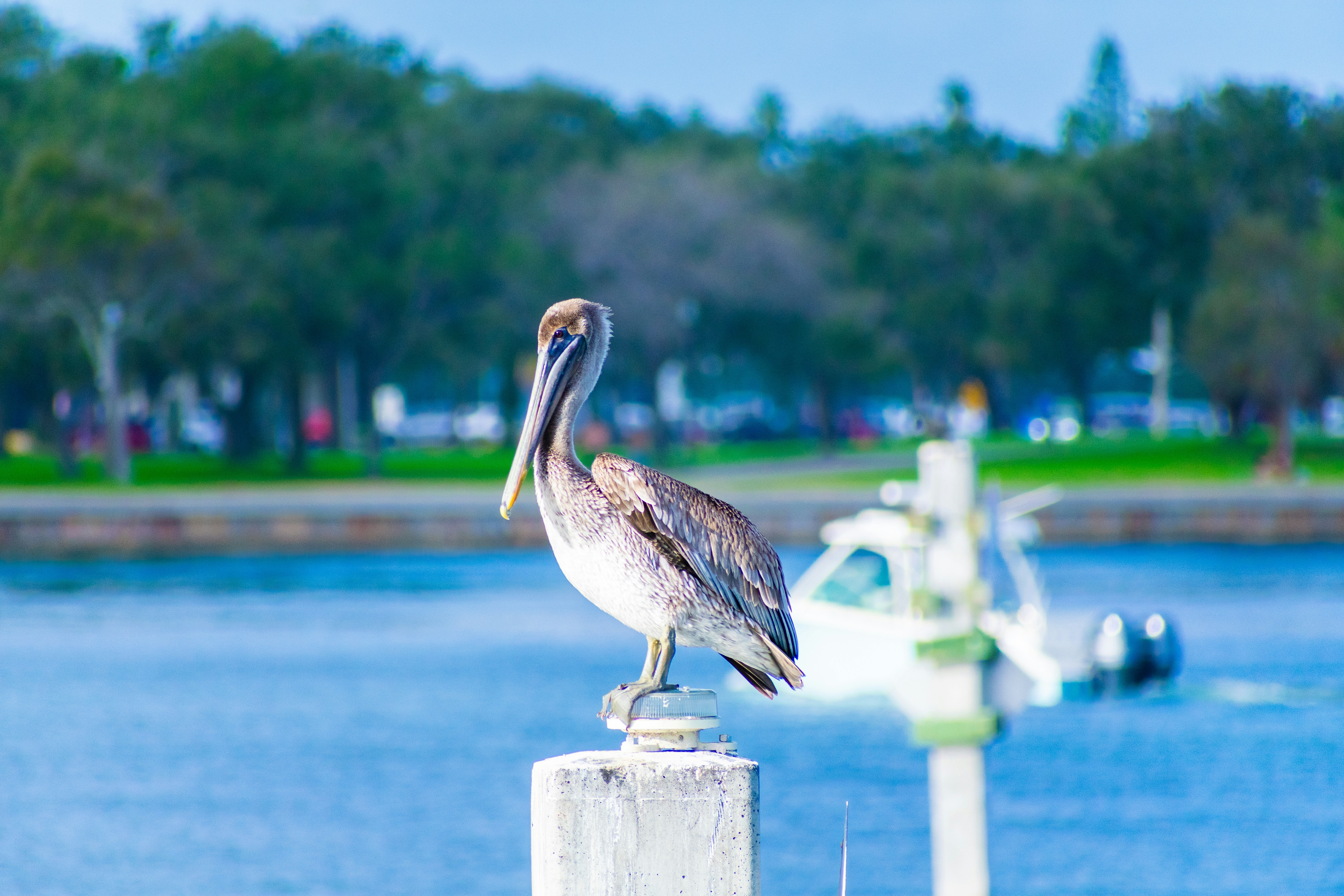 Photo by probablyrobin