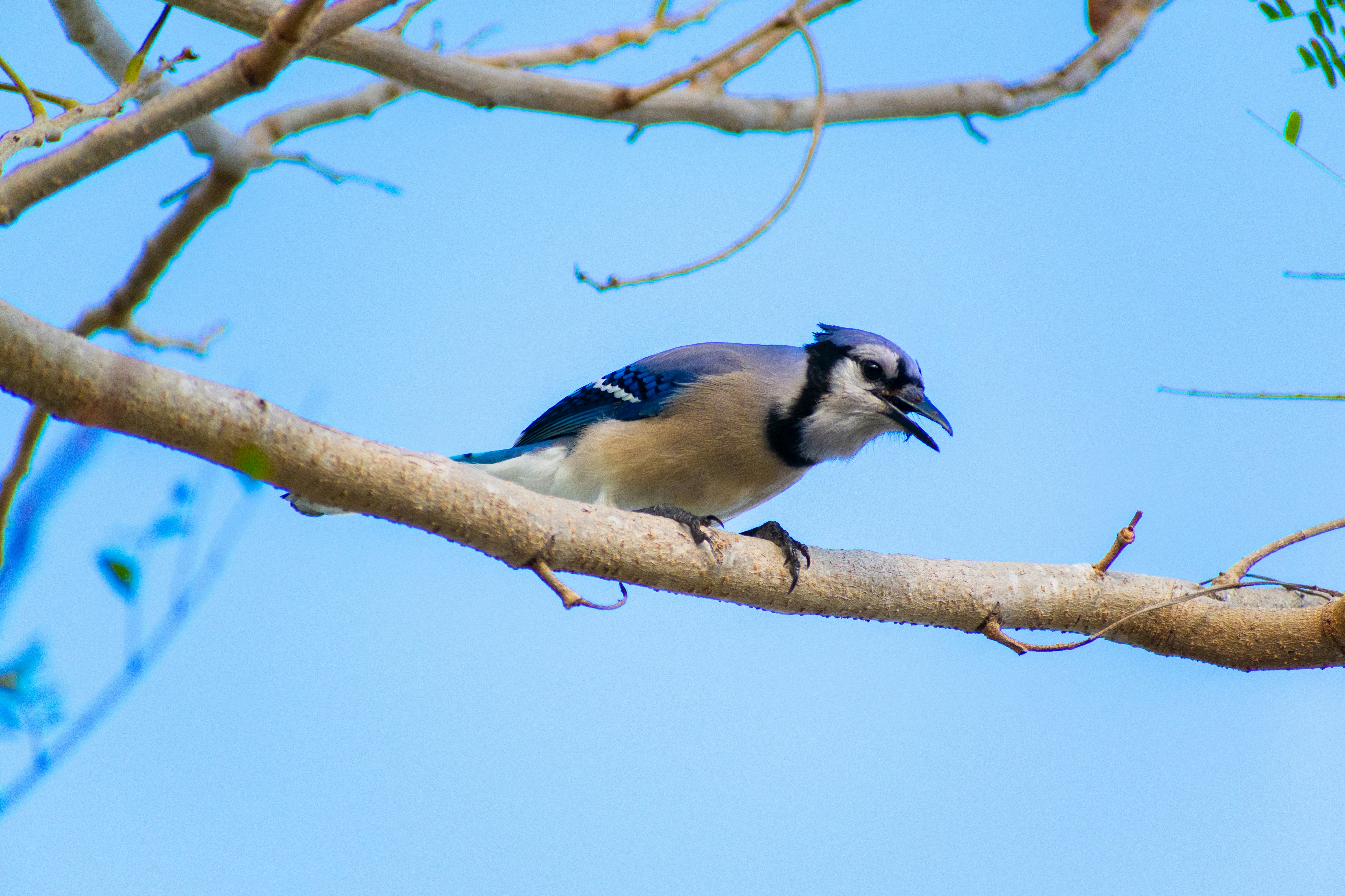 Photo by probablyrobin