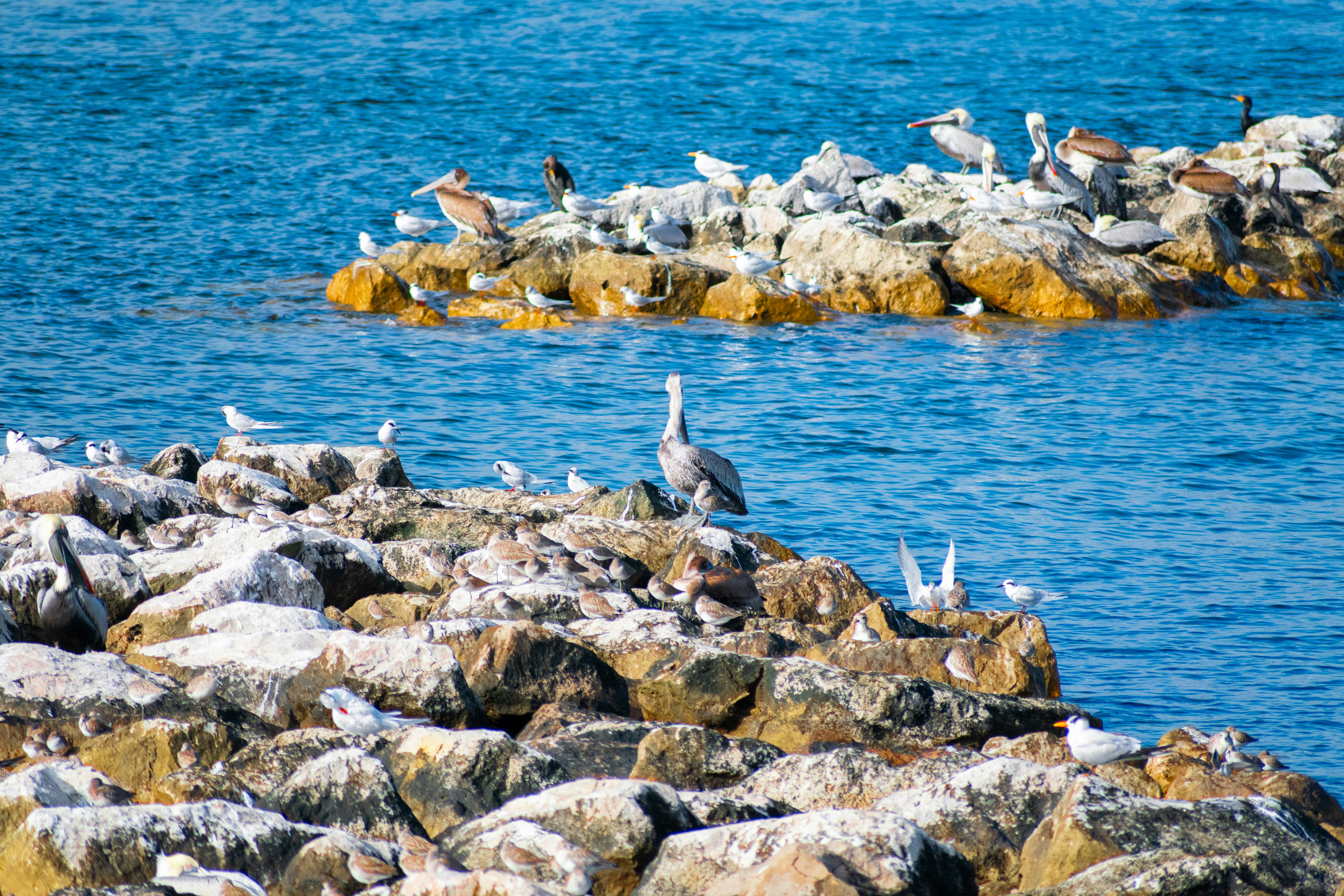 Photo by probablyrobin