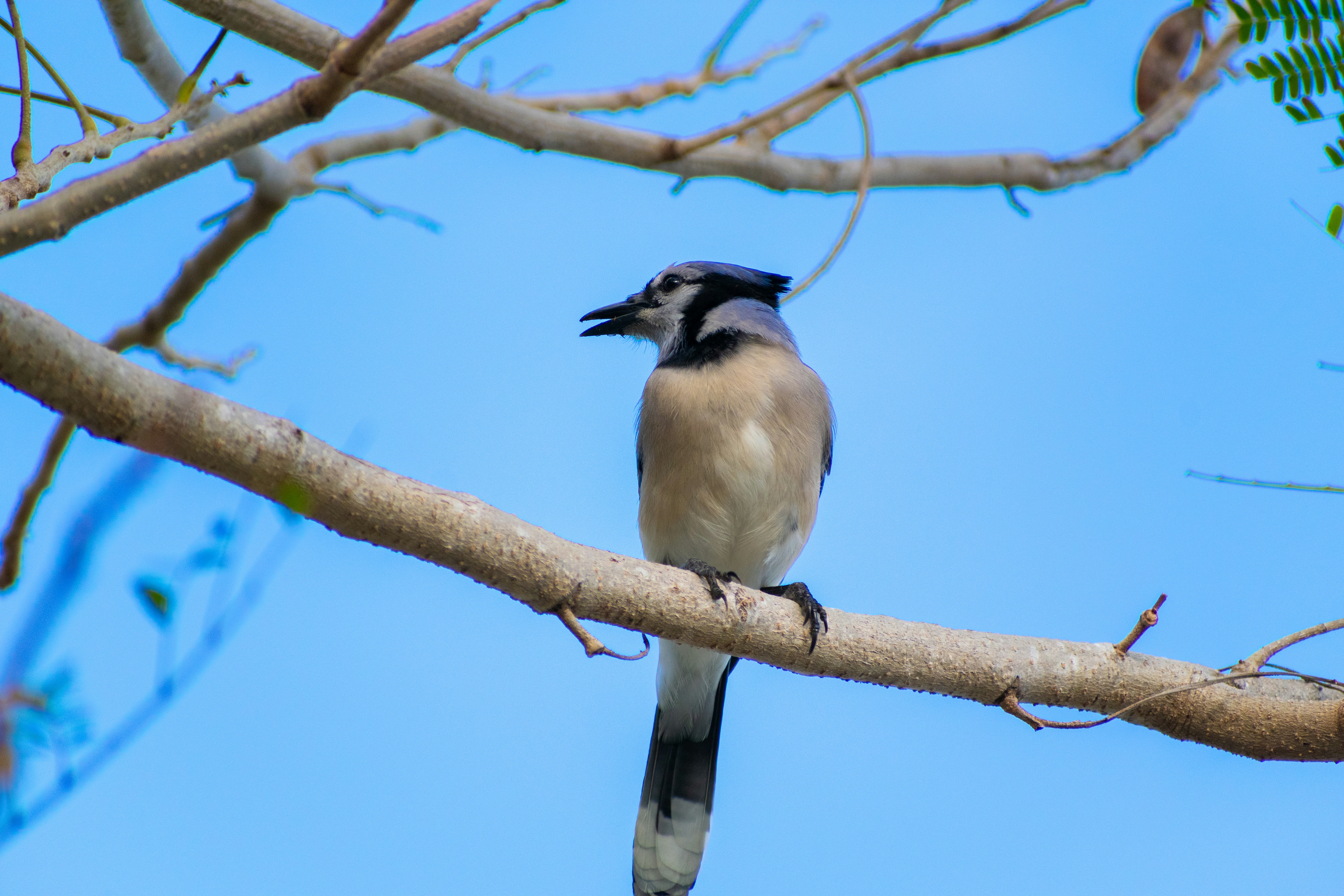 Photo by probablyrobin