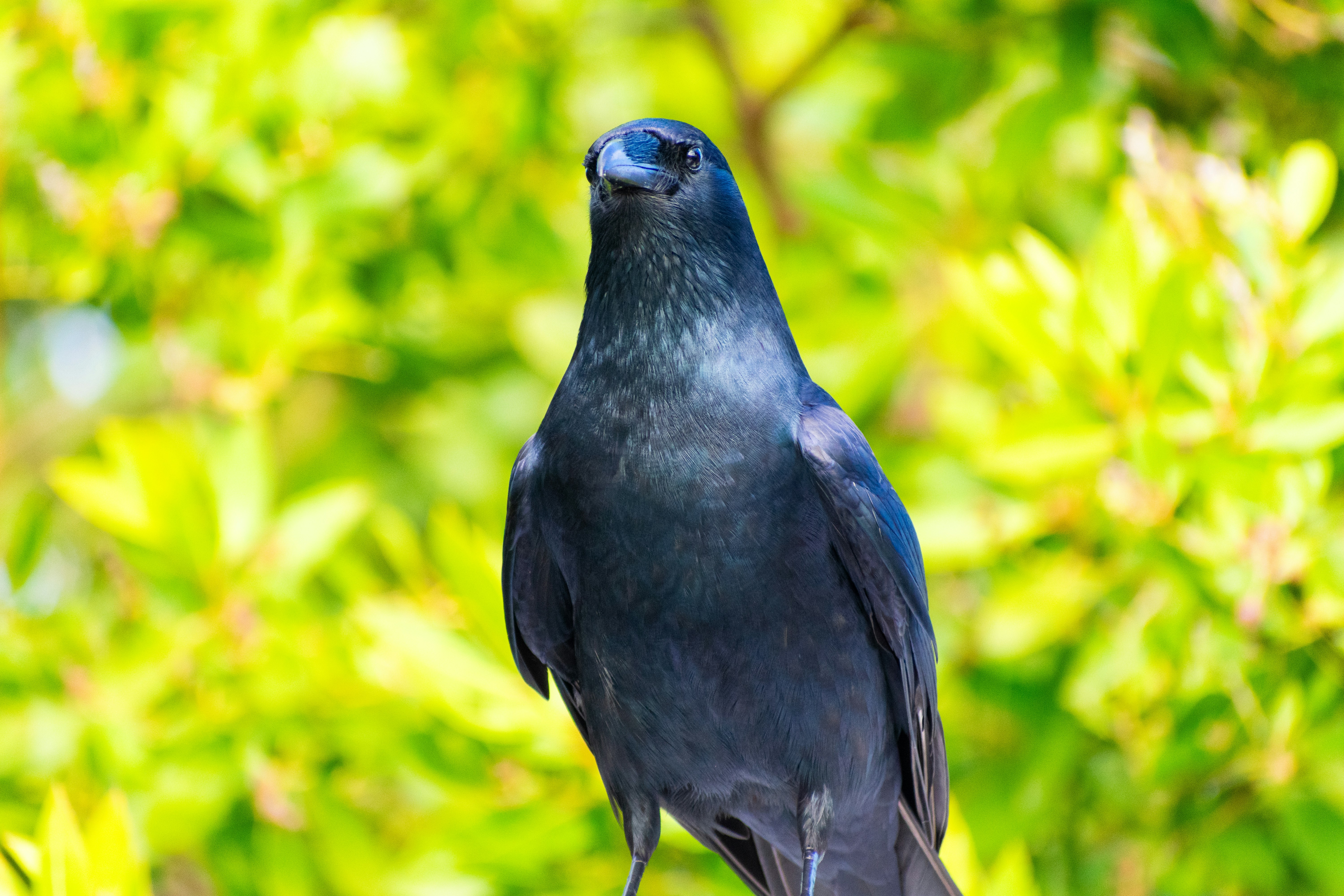 Photo by probablyrobin