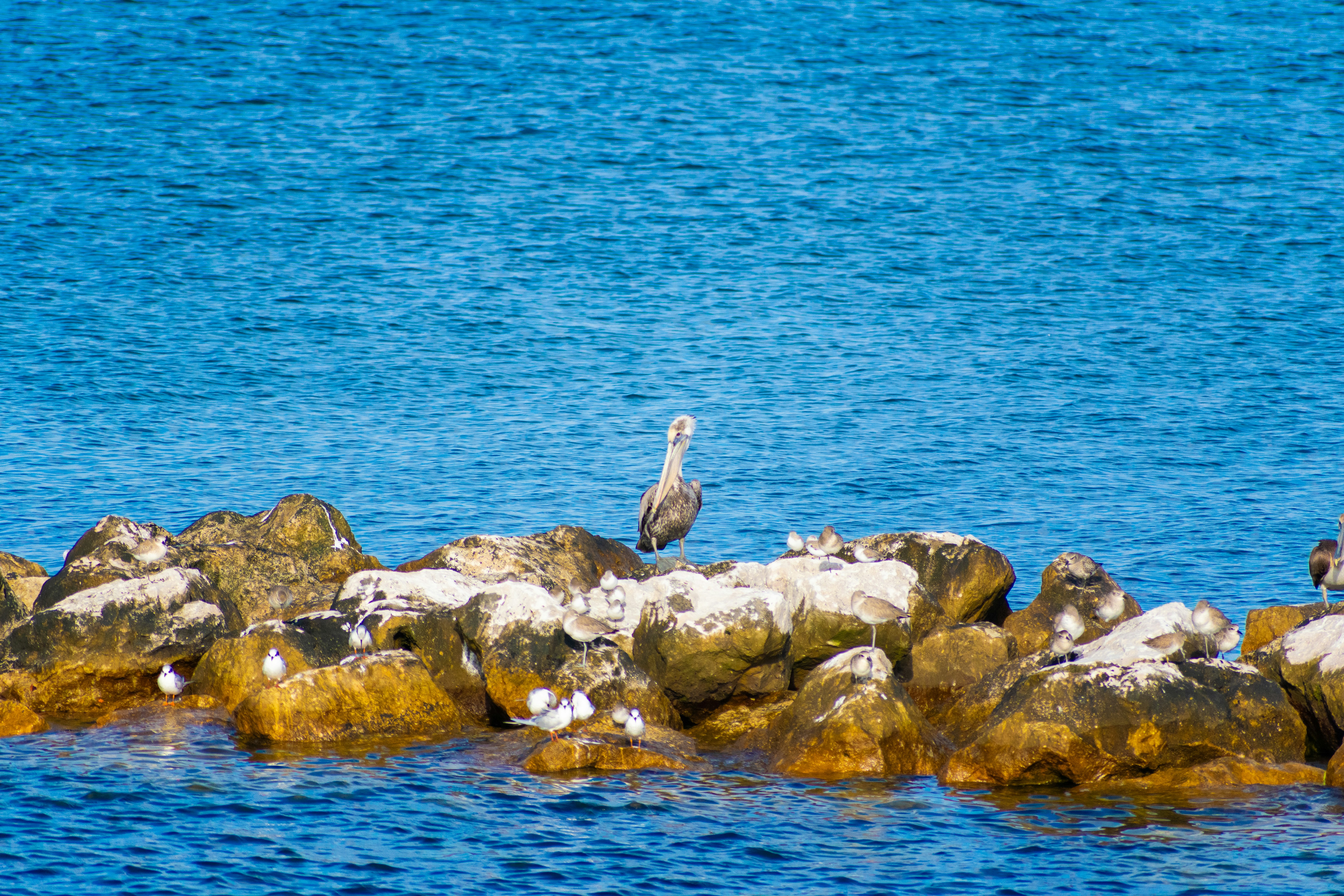 Photo by probablyrobin