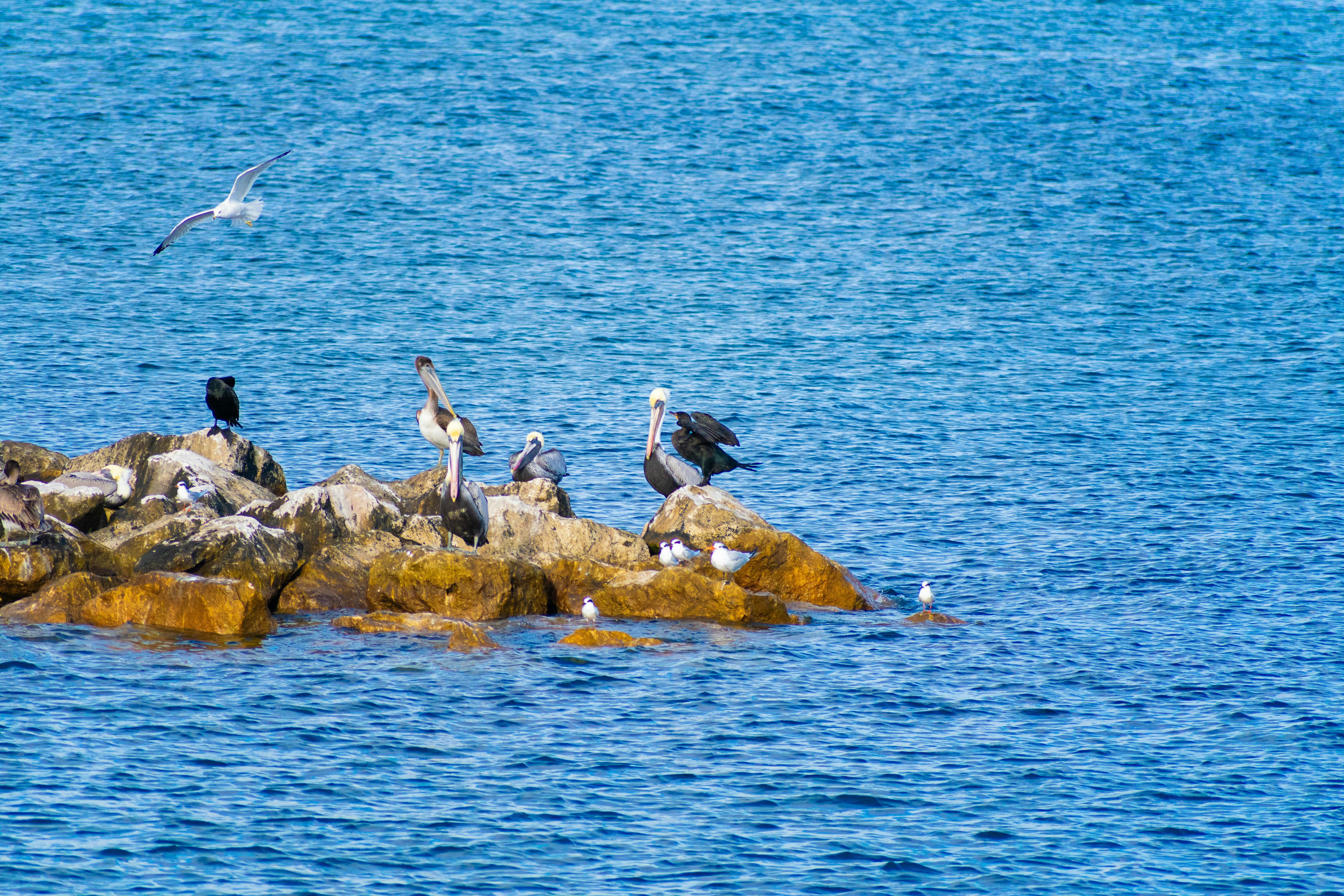 Photo by probablyrobin