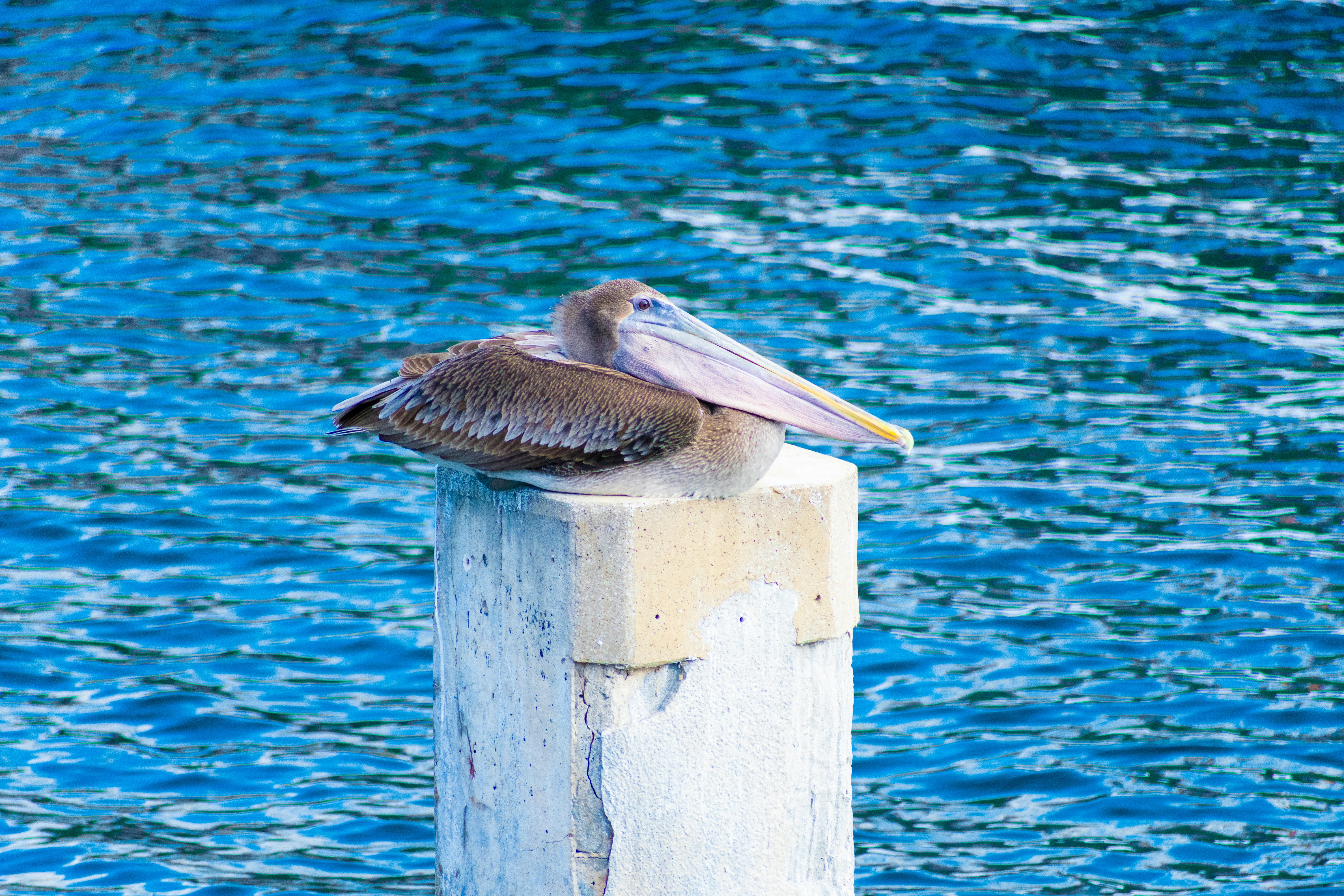 Photo by probablyrobin