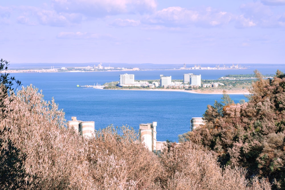 a view of a body of water with a city in the distance