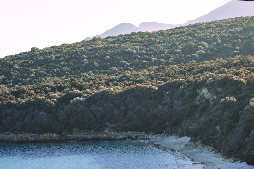 a view of a mountain with a body of water in the foreground