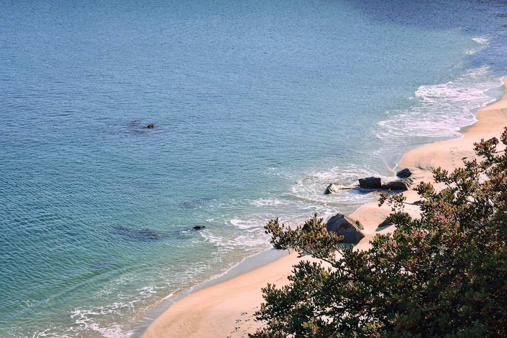 a view of a beach with a boat in the water