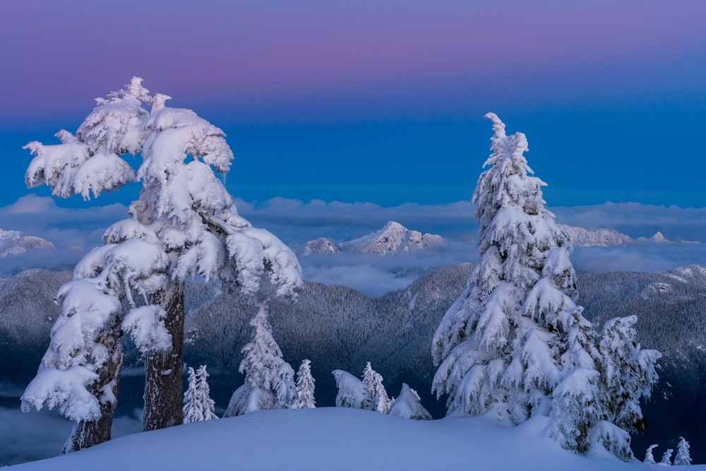 a view of the mountains and trees covered in snow