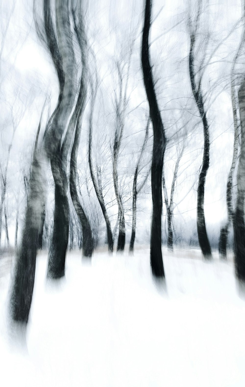 Una foto borrosa de árboles en la nieve