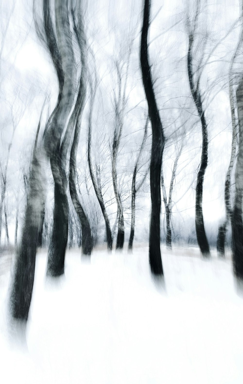 a blurry photo of trees in the snow