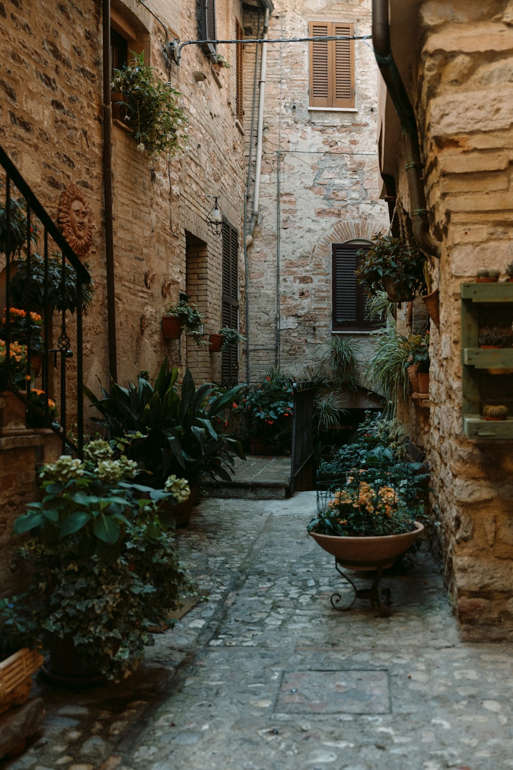 a narrow alleyway with potted plants on either side