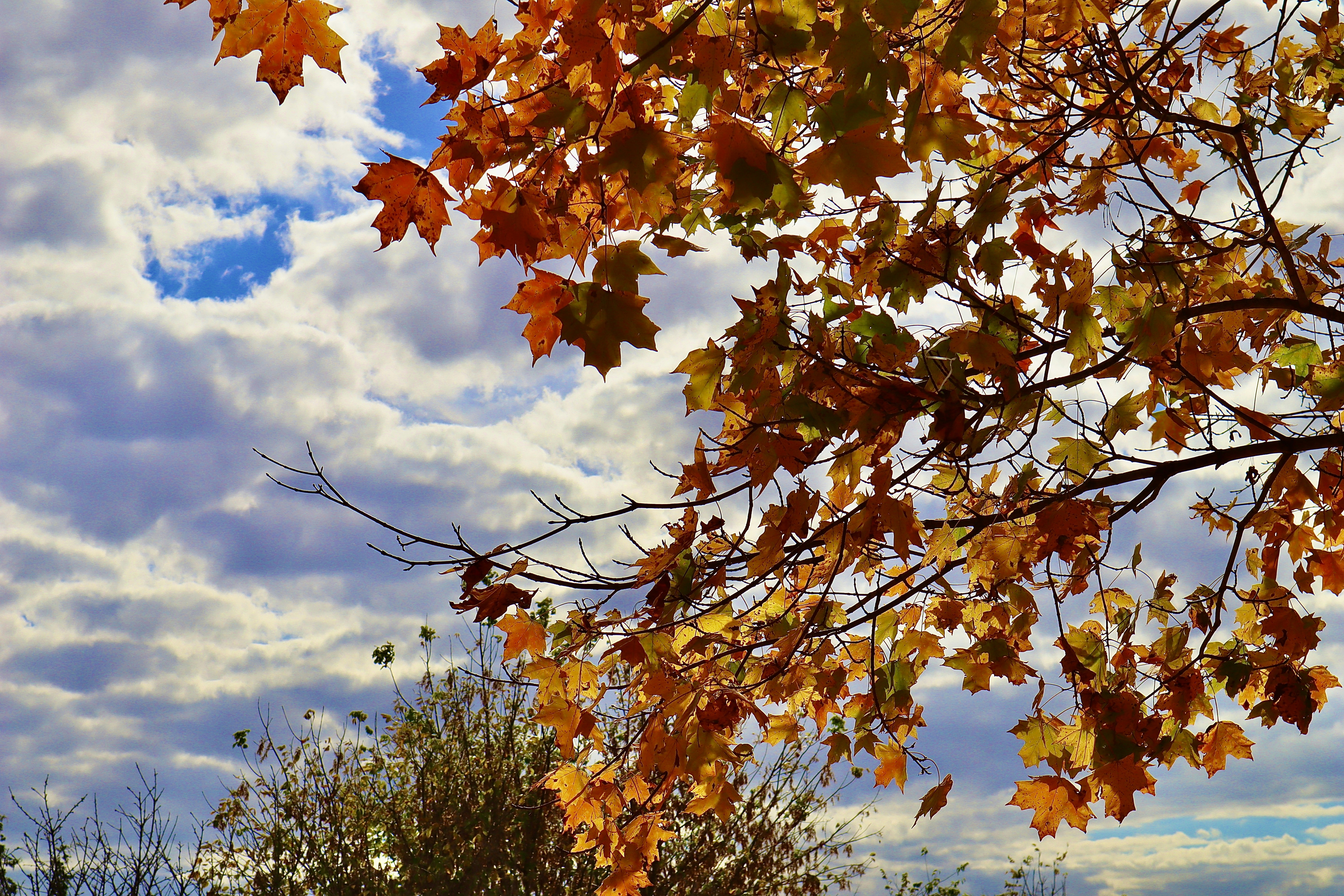 Photo by uberzeught