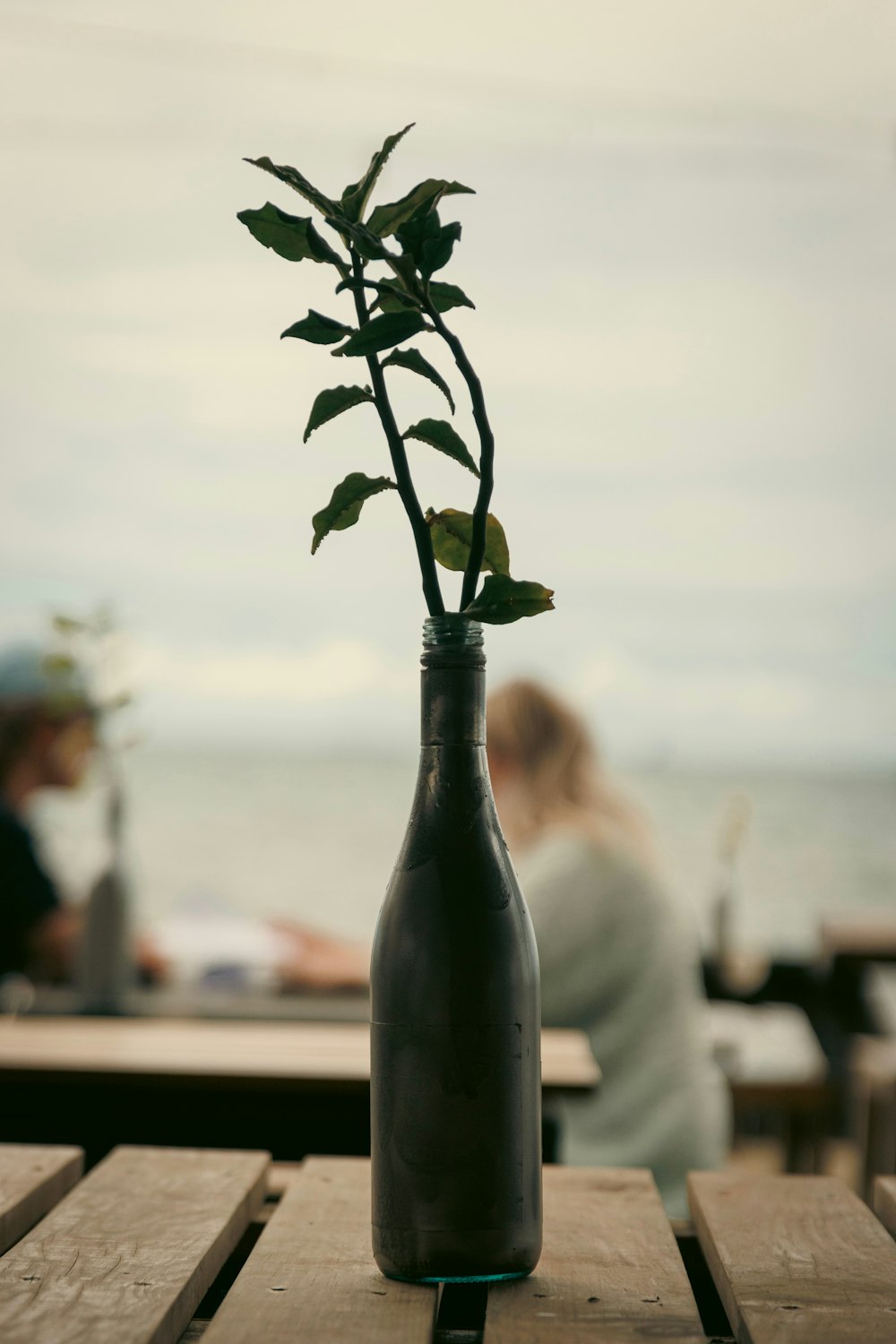 a vase with a plant in it sitting on a table
