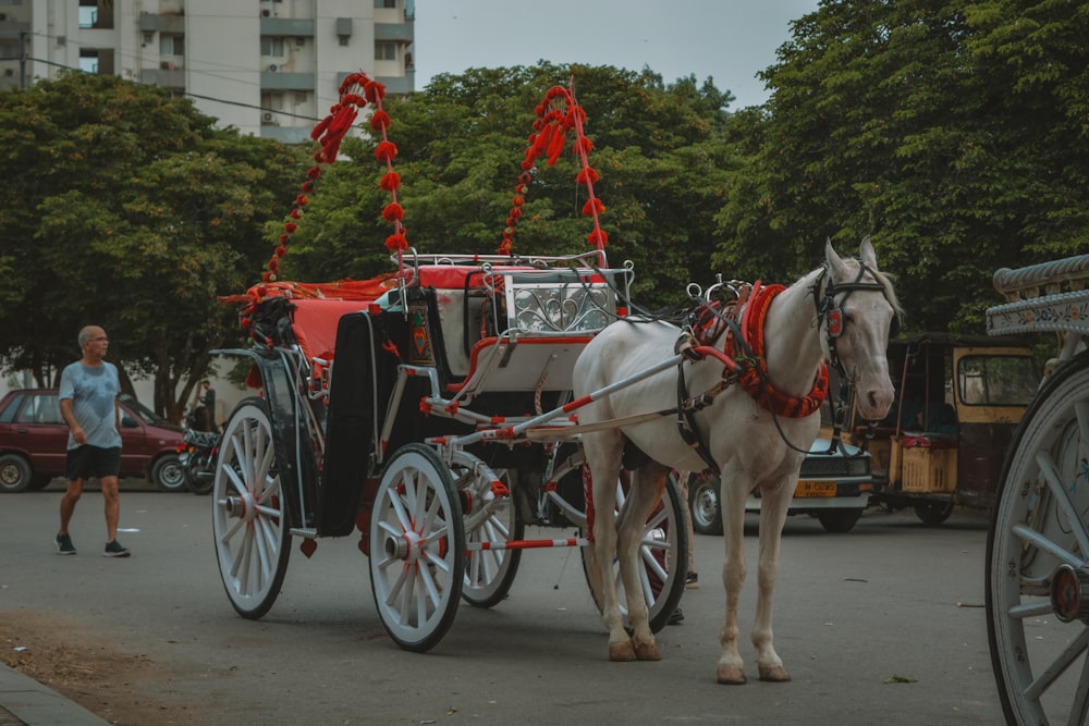uma carruagem puxada por cavalos em uma rua da cidade