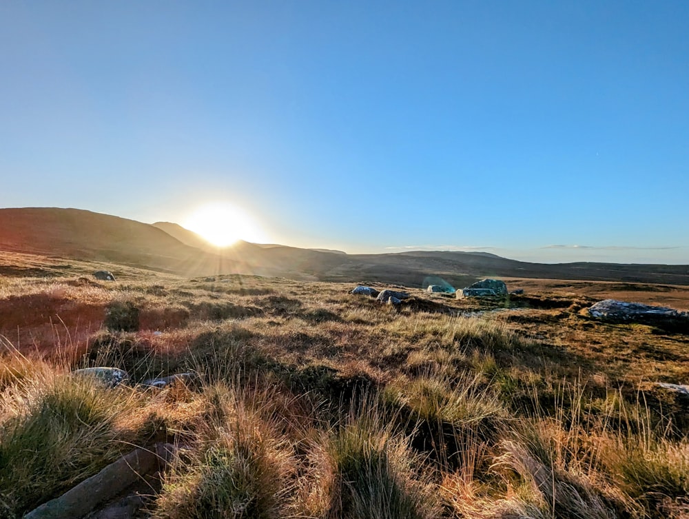 the sun is setting over a grassy field