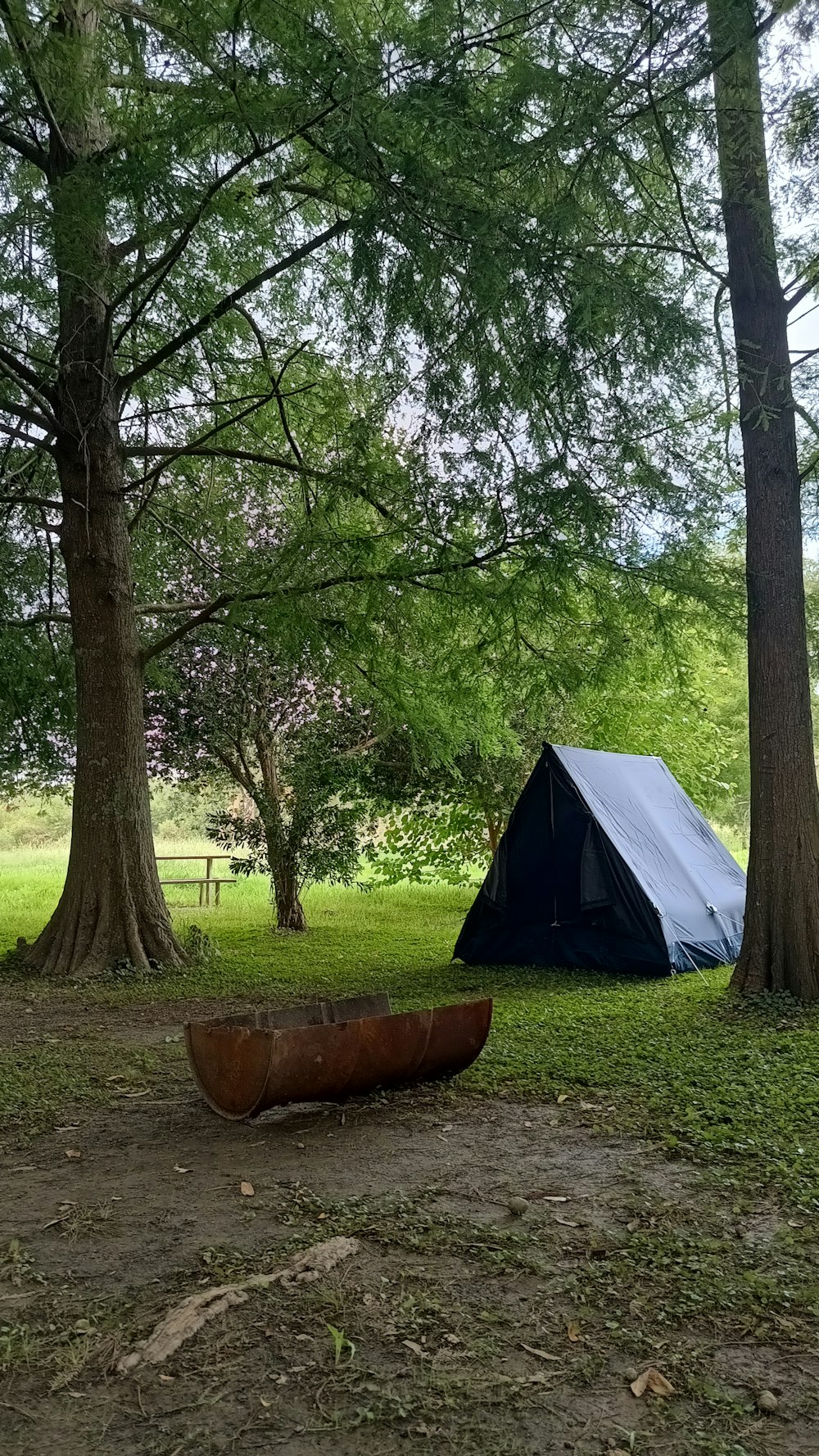 a tent in the woods next to a canoe