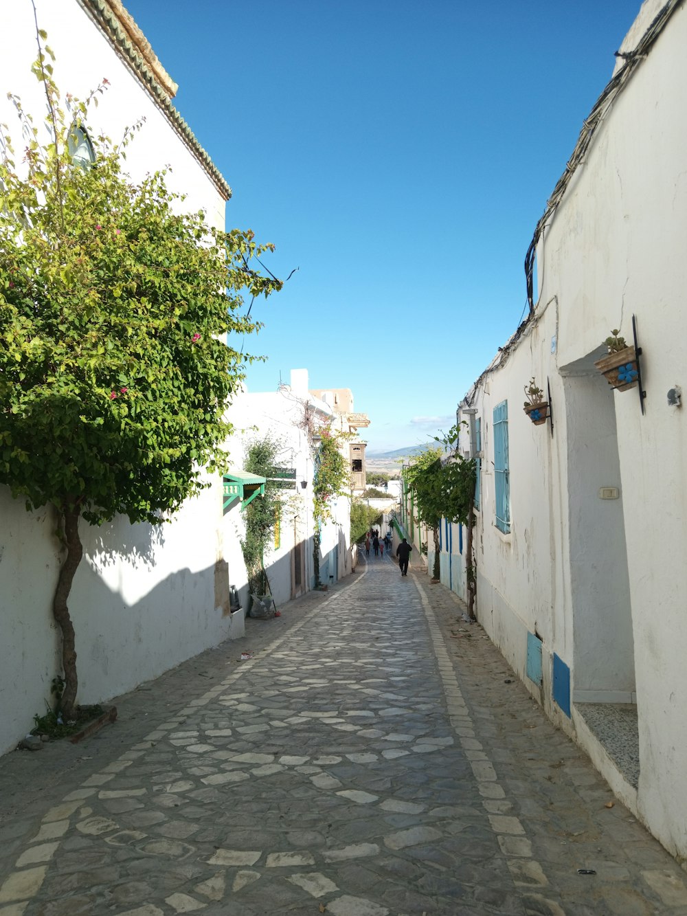 a cobblestone street in a small village