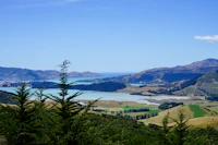 Best Rooftop Cafes in Christchurch With Views Worth the Climb