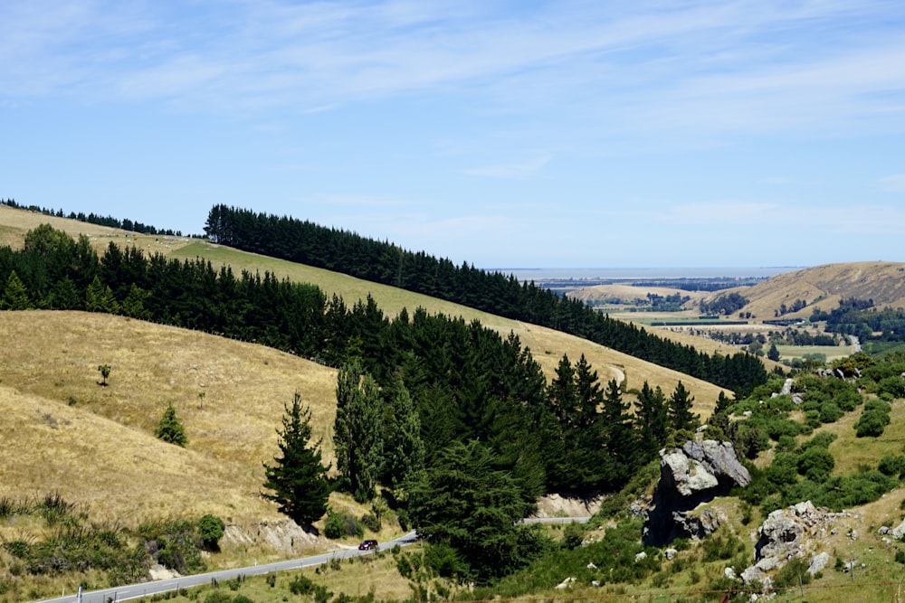 uma vista panorâmica de uma área montanhosa com árvores