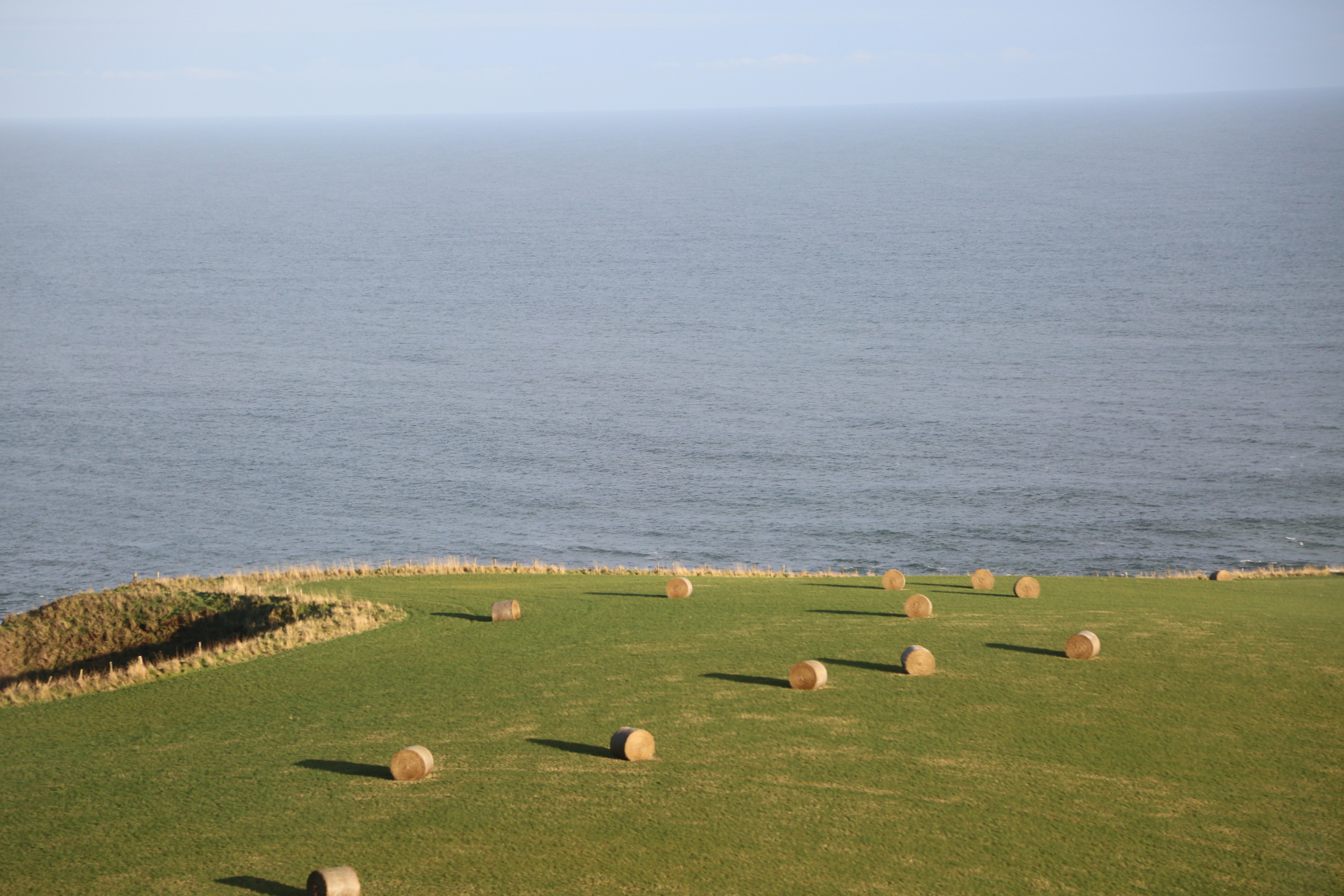 a grassy field with bales of hay in the foreground