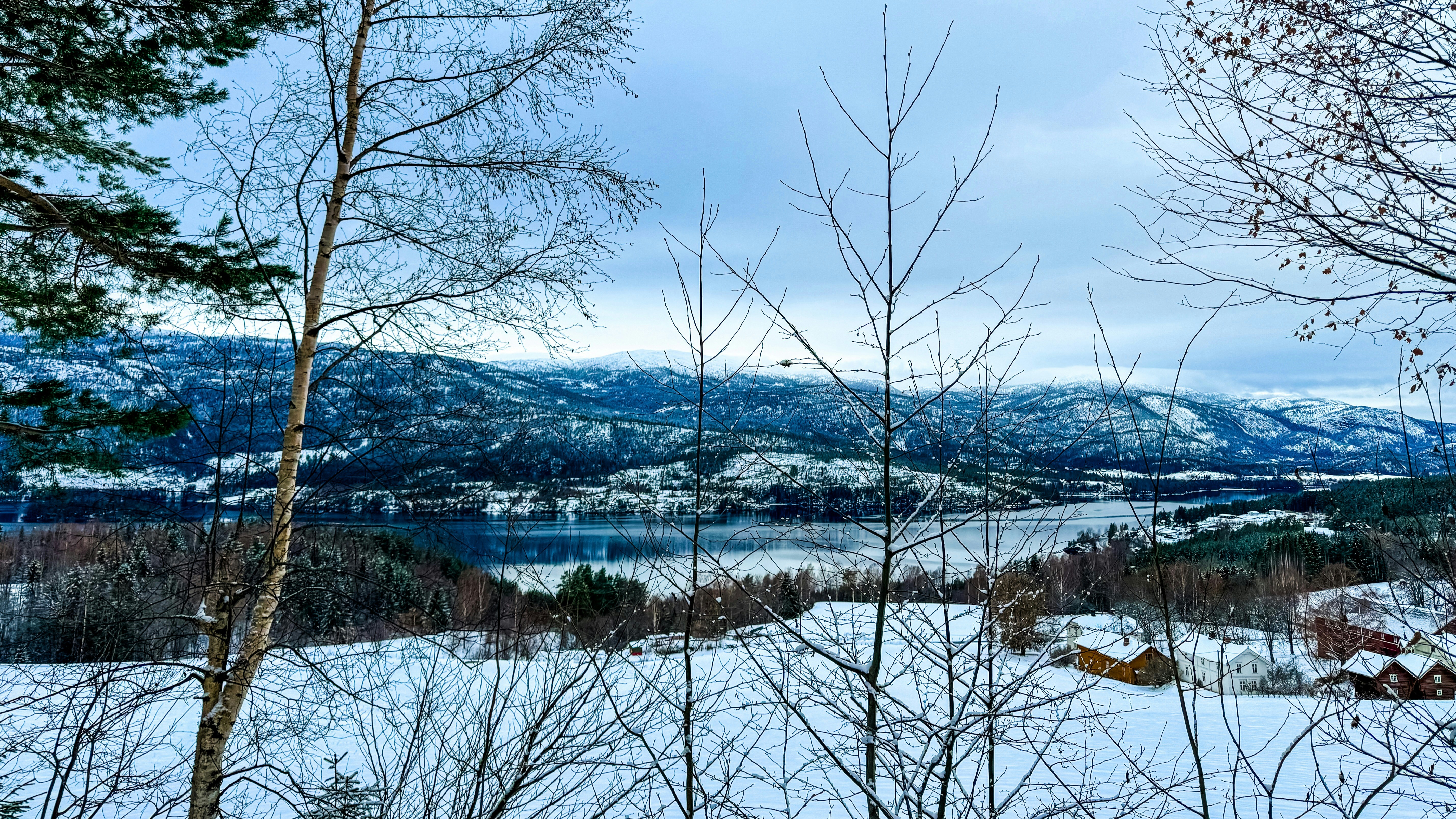 Photo by silje16