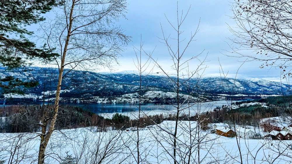 a scenic view of a lake and mountains covered in snow