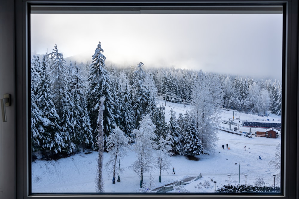 a view of a snow covered forest from a window