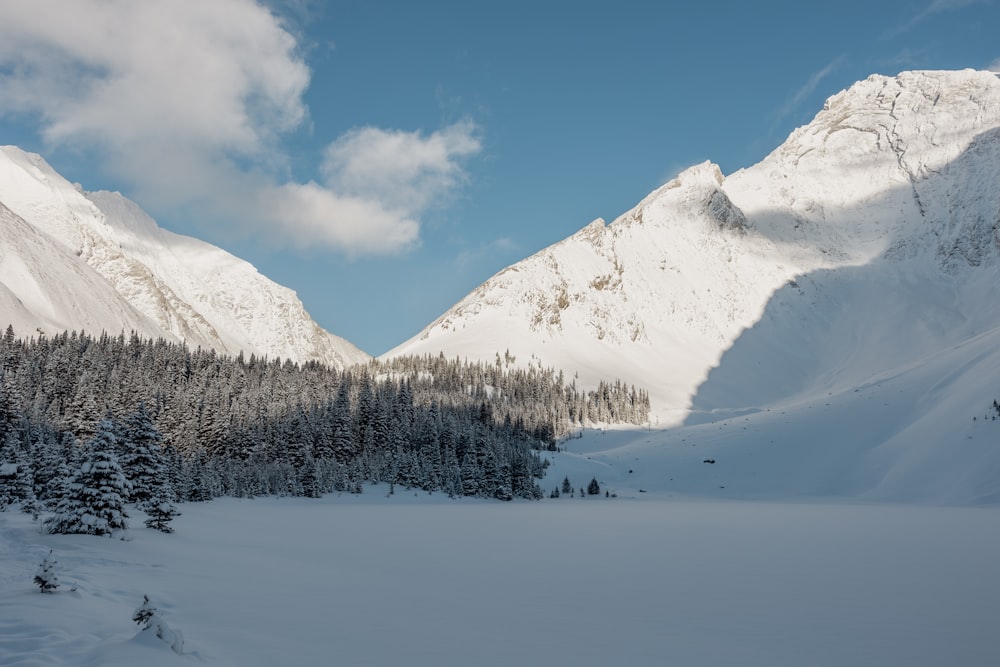 a snow covered mountain range with trees in the foreground