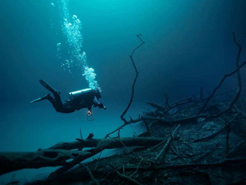 a scuba diver in the deep blue water