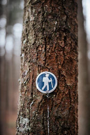 a blue and white sign on a tree in the woods