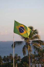 a flag on a pole next to a body of water