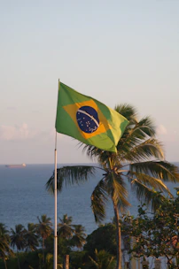 a flag on a pole next to a body of water