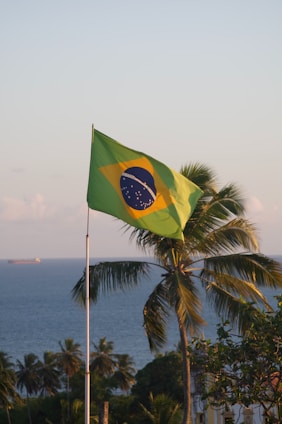 a flag on a pole next to a body of water