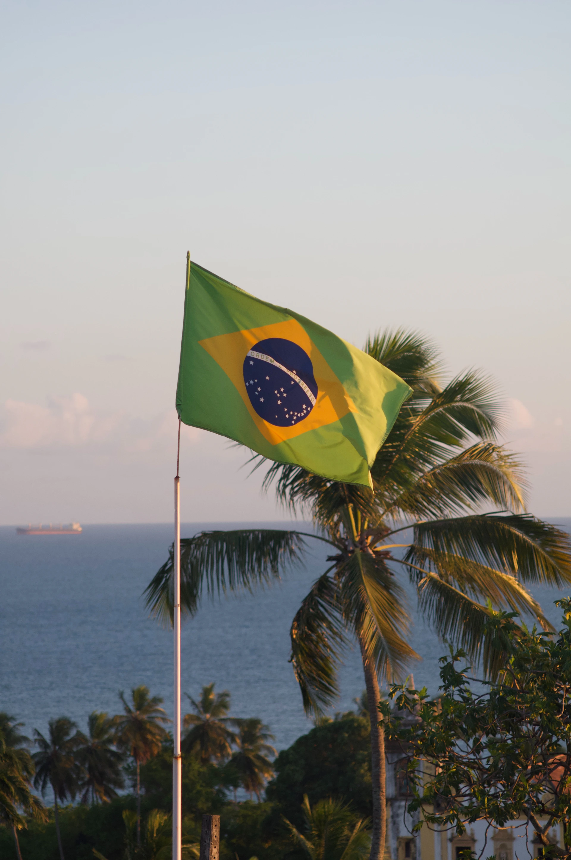 a flag on a pole next to a body of water