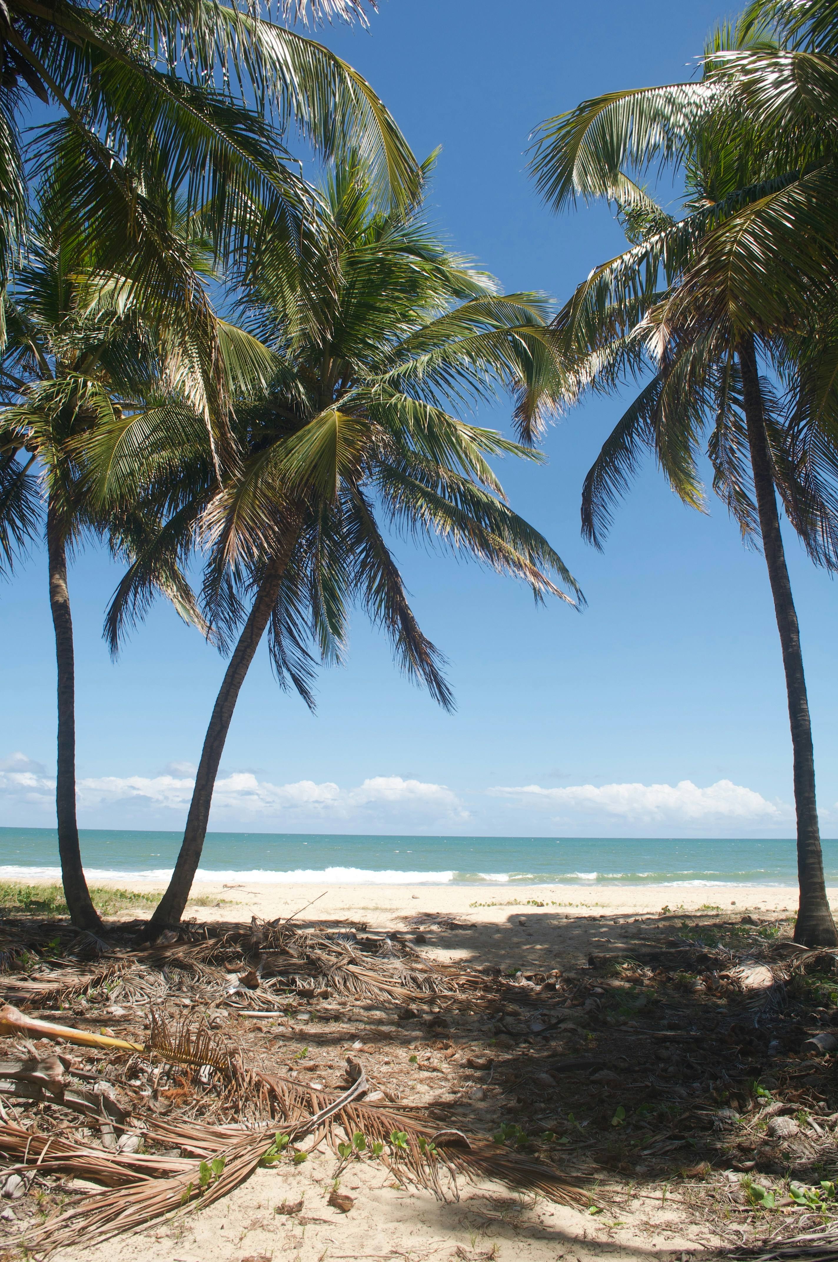 Photo by lucasbsallum