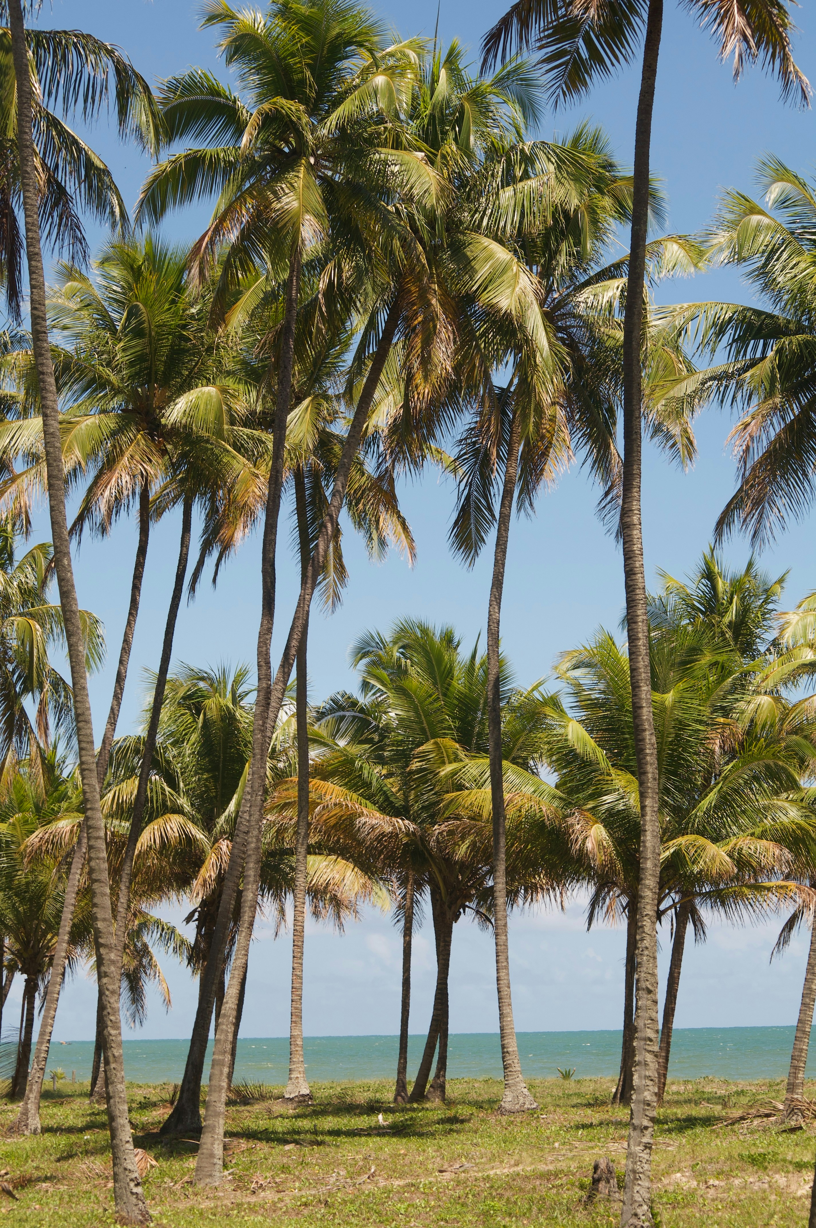 Photo by lucasbsallum