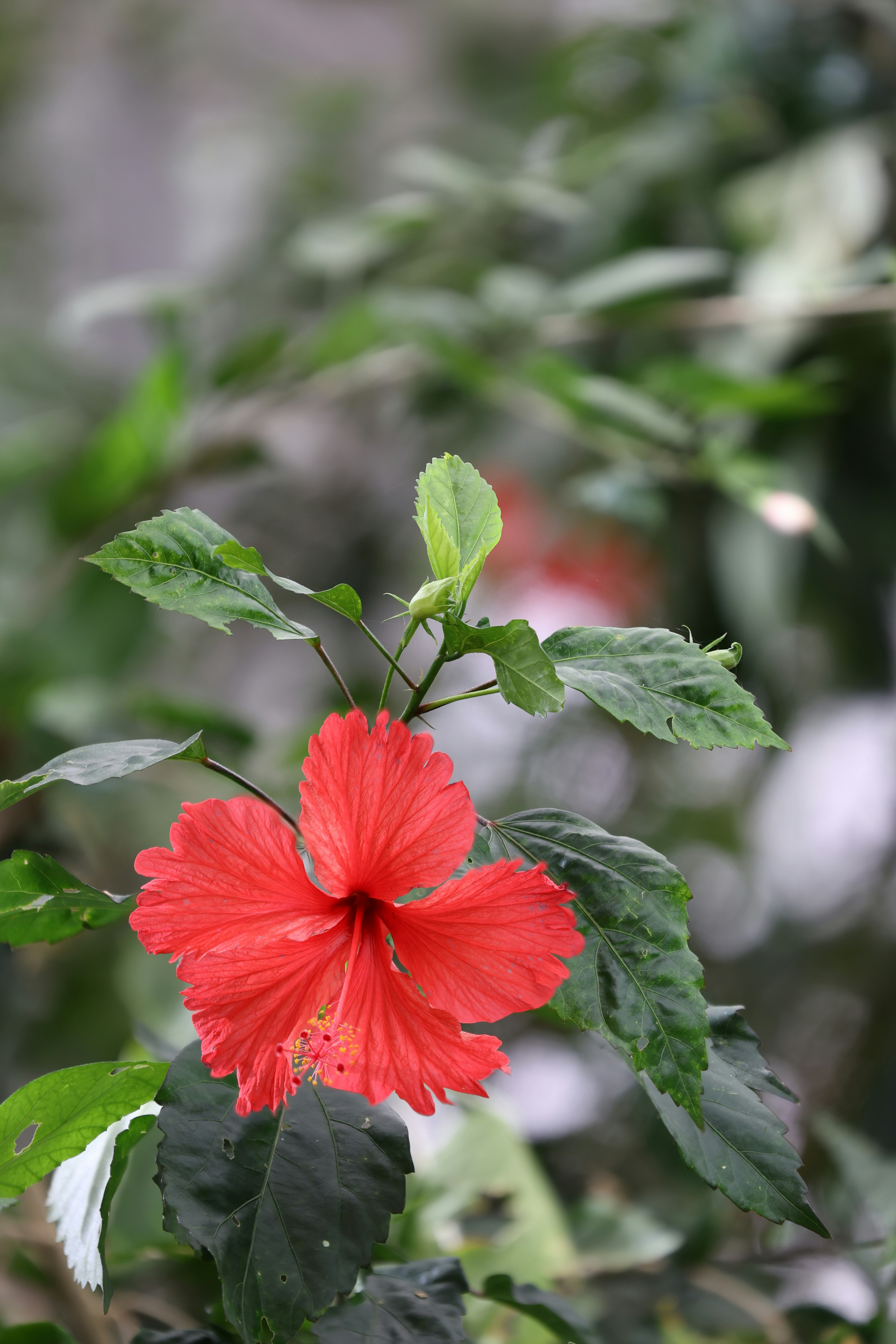 Photo by venkat_meta